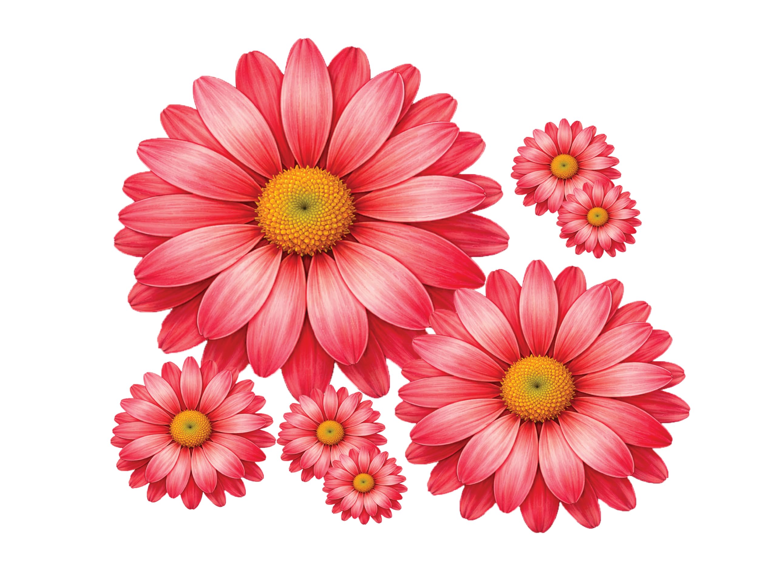 Calvero Studio Girls Red 10 Colourful Daisy Flower Stickers, Cute Flower Decal Stickers, Wall Stickers For Bedroom, Suitcase Stickers, Ideal For Bin, Car, Laptop, Bike, Wall, Dustbin. Camper Van (Red)