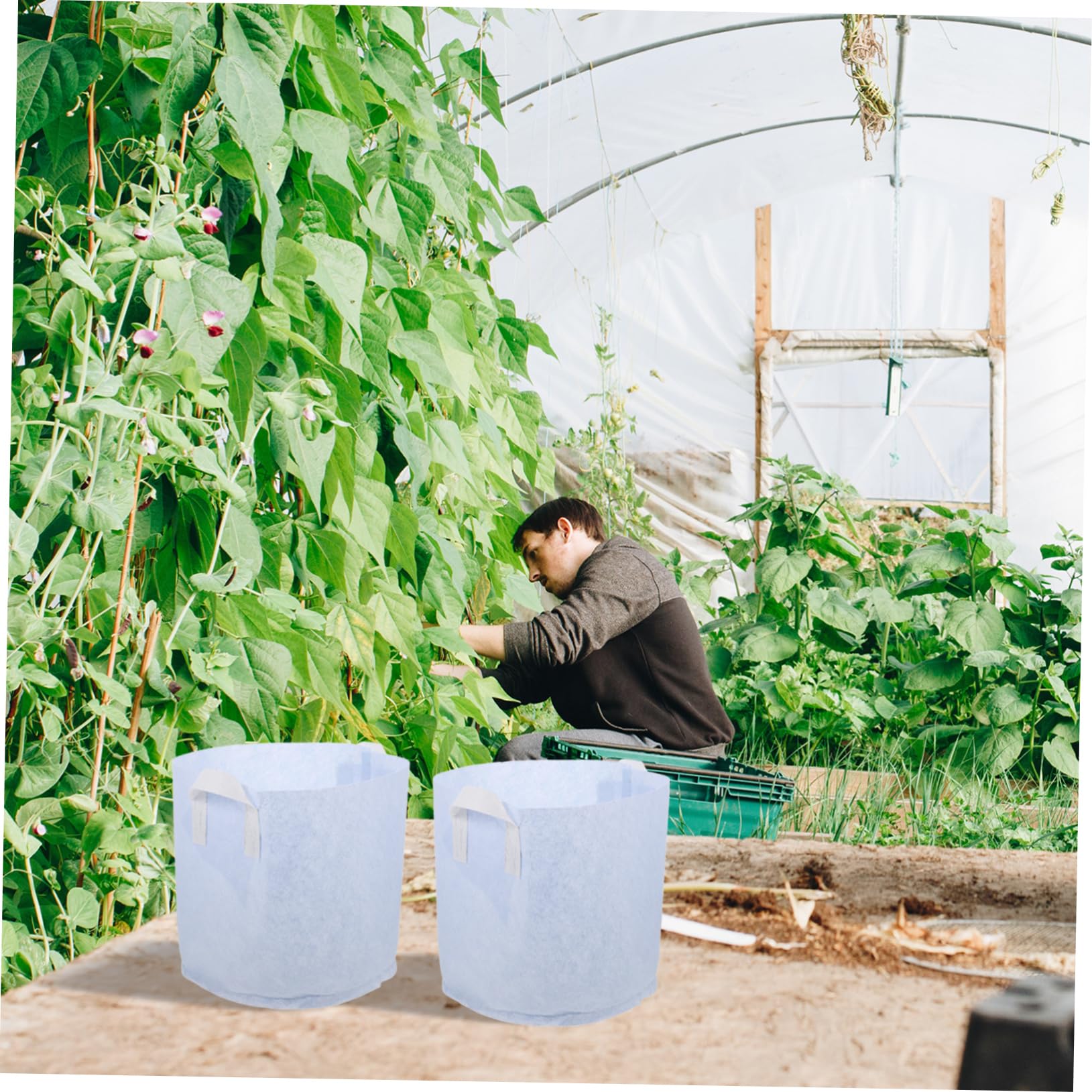 VANZACK 10 Bolsas de Cultivo de Tela No Tejida de Color para Viveros, Macetas Redondas para Frutas y Verduras, Diseño Práctico para Agricultura y Cultivo