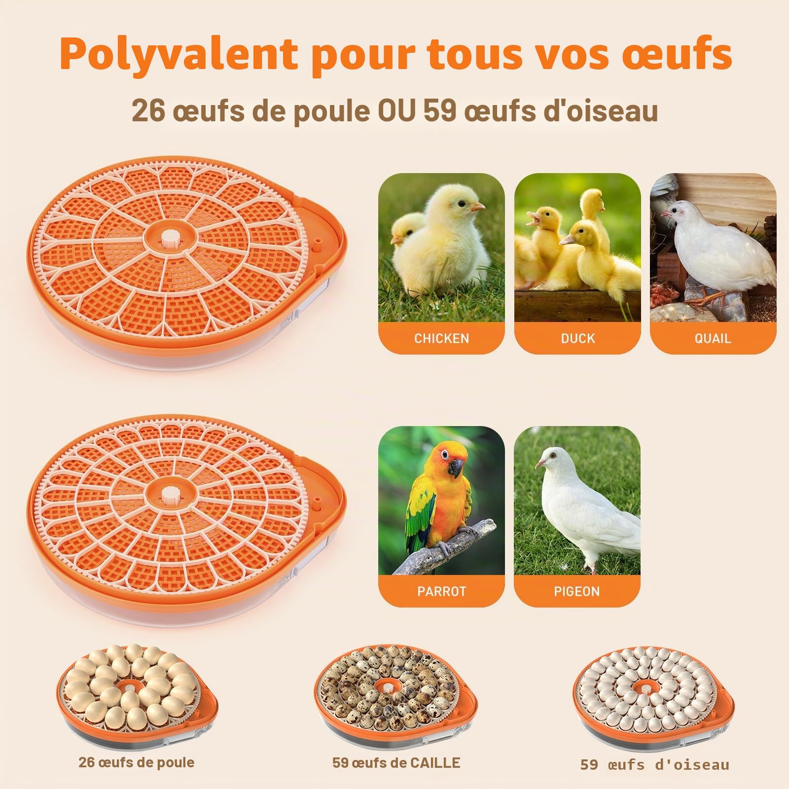 Couveuse Oeuf Automatique 26 Œufs, Commande Vocale pour Œufs de Volaille | Rotation Automatique, Contrôle de Température et Humidité Réglable pour œufs de poule, canard, caille