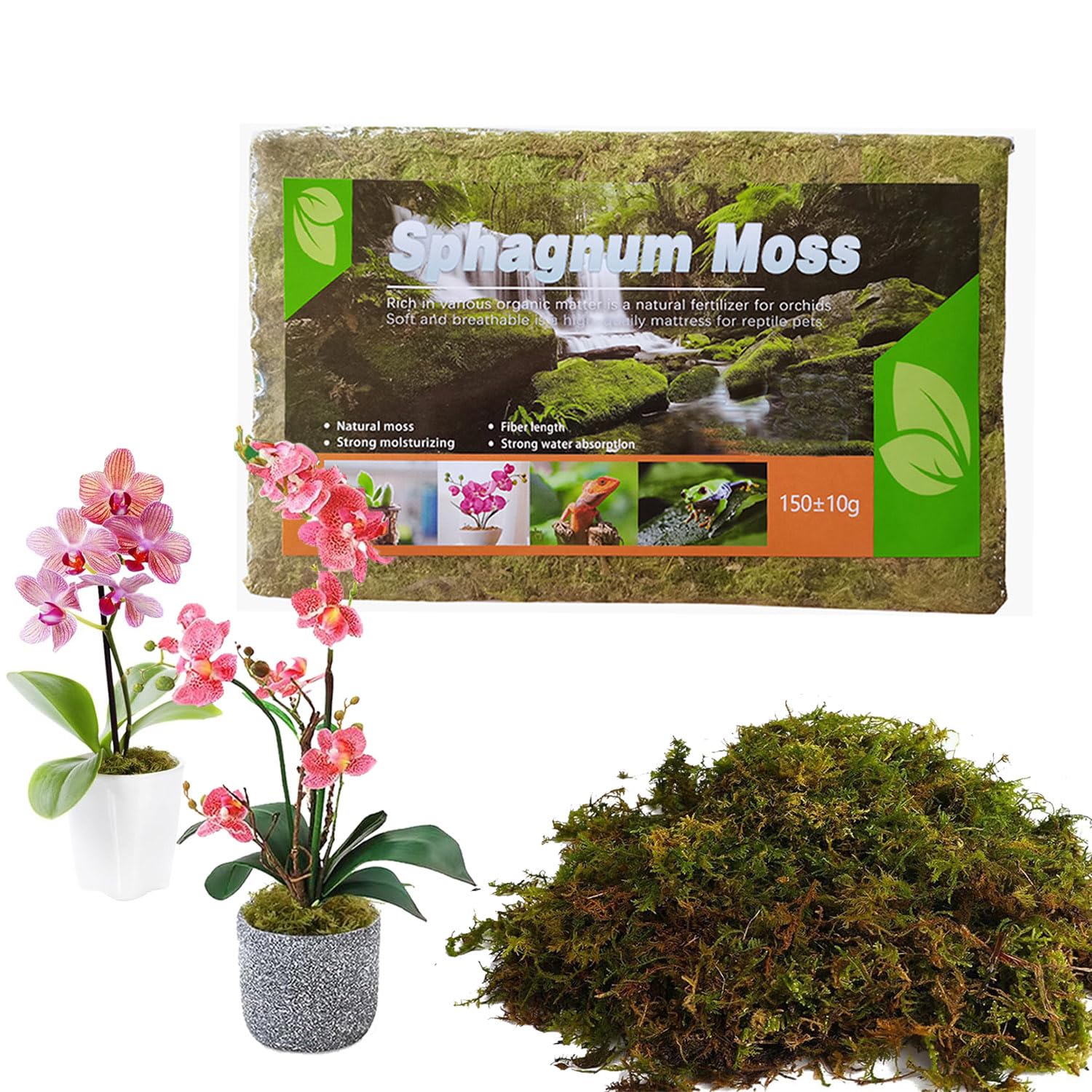 Sphagnum Moss for Plants 5L Terrarium Reptiles Moss Green Dried Peat Moss Habitat Bedding Moss Real Moss Soil Cover for Houseplant and Other Reptiles Substrate