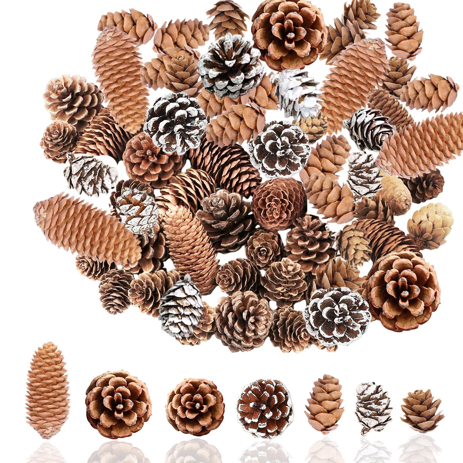 Christmas Pine Cones for Home Party Crafts Gift,60P Natural Pine Cones for Christmas Wreath Making,White PineCones Like a Peak Tower PinesCone Autumn Fall Decor Wedding,Mini / Big Pinecones Xmas Tree — image 1