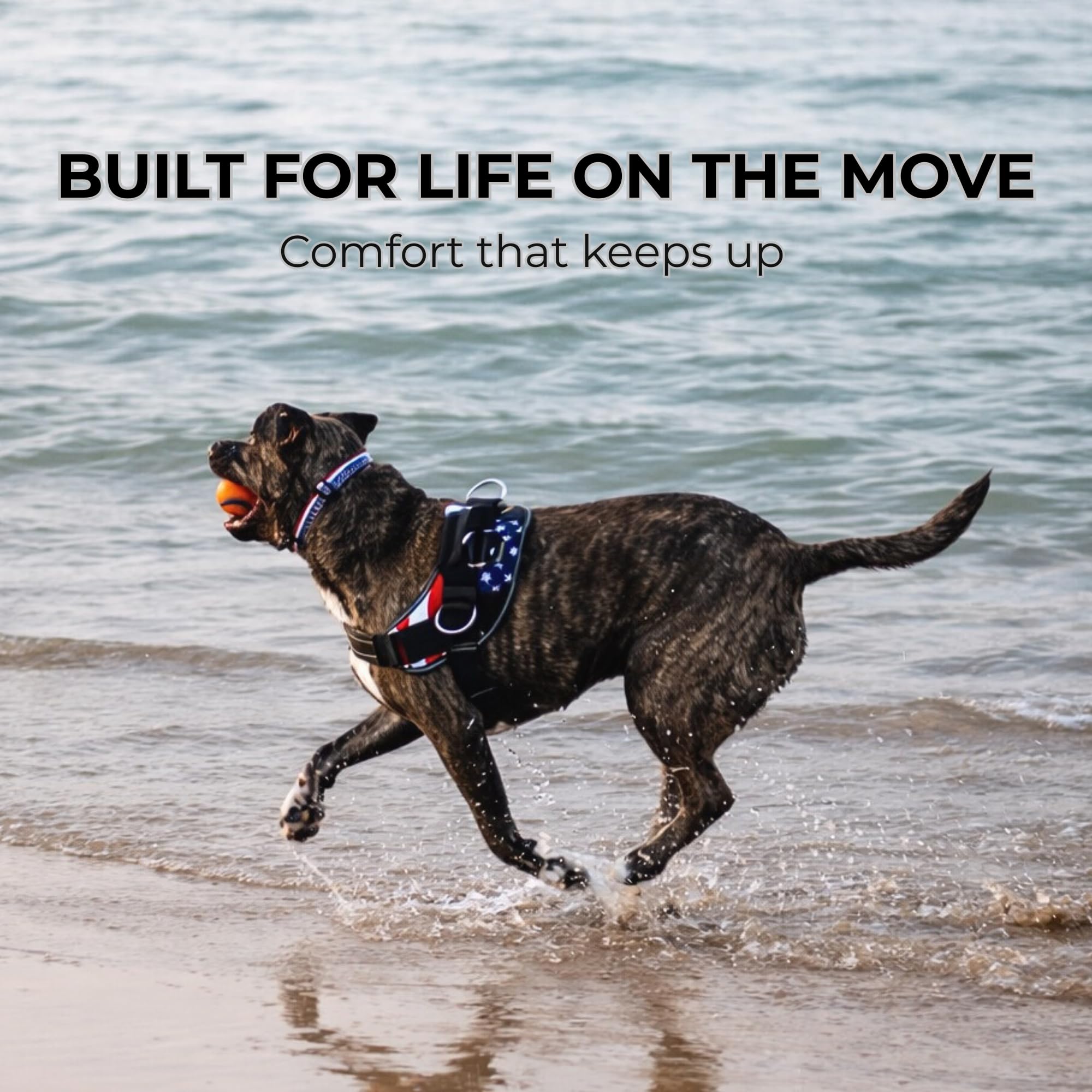 ShawnCo Essential Dog Harness, No-Pull Pet Vest with 3 Leash Clips, No Choke, Reflective, Adjustable and Padded, for Easy Walking and Training for Small, Medium and Large Dogs (Seafoam, M) - image 8