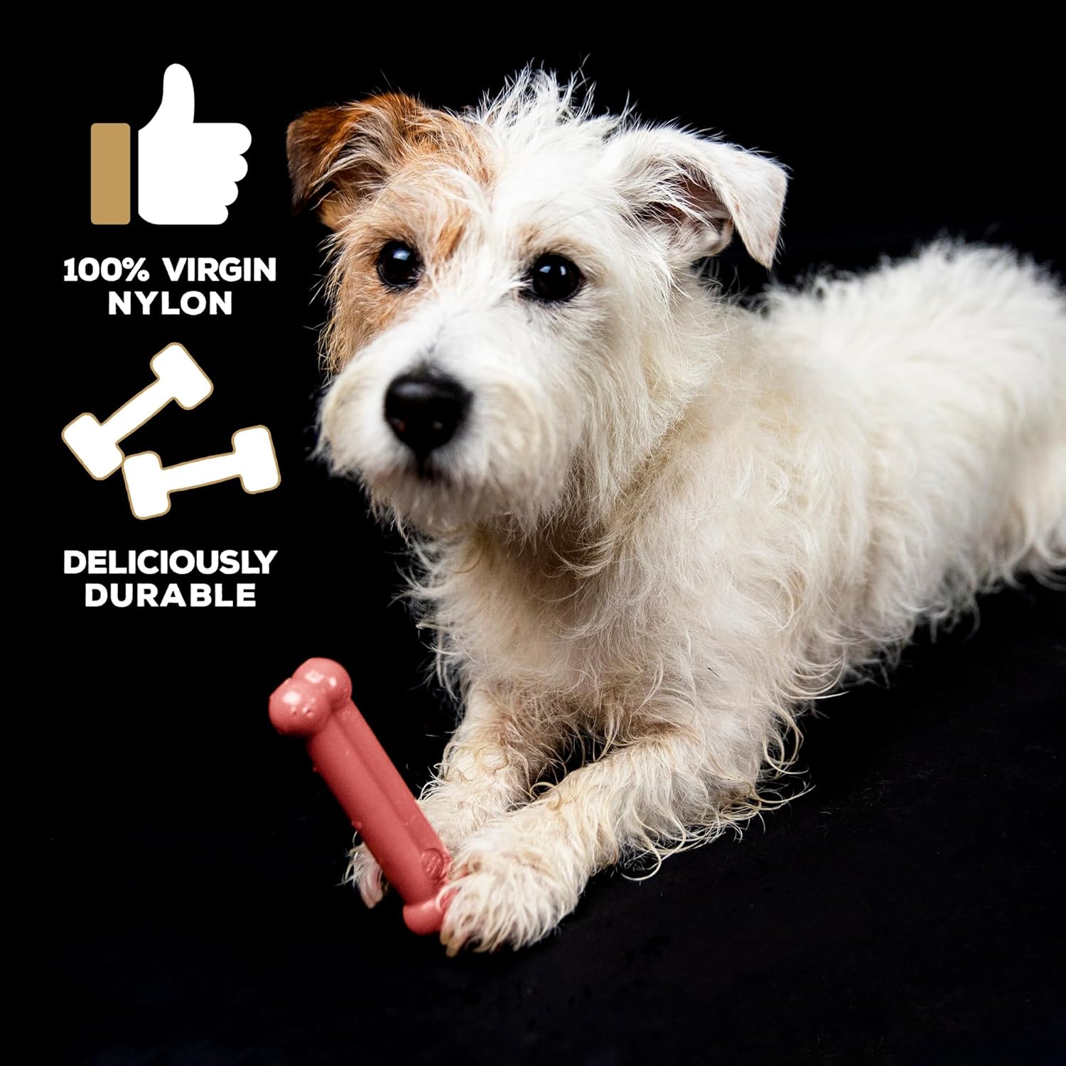 Tastybone Toy Bacon