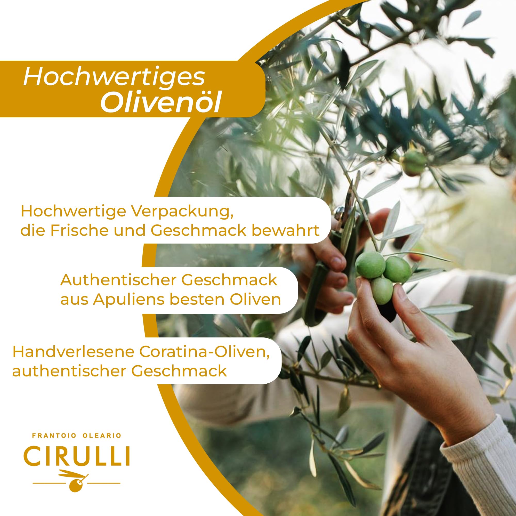 Cirulli Bio Natives Olivenöl Extra Vergine-3L- Natürlich Ernte-Premium-Qualität Italienisches Olivenöl - Unraffiniert & Ungefiltert - Ohne Zusatzstoffe - Großartiger Bio-Geschmack mit Fruchtigem Aroma