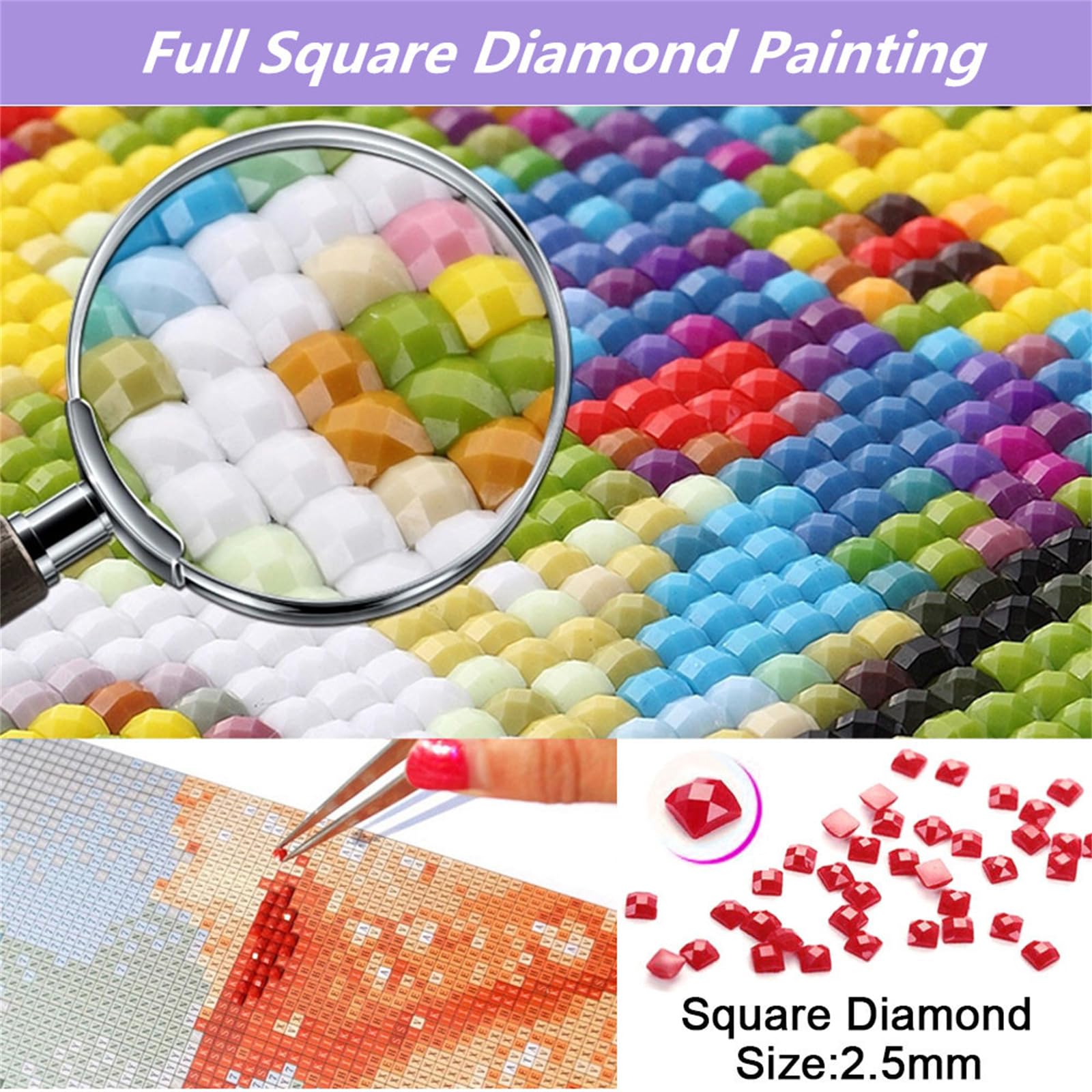 Diamond Painting Delfin,80x80cm/32x32inch 4 Pack DIY 5D Diamand Painting Erwachsene,Diamond Painting Set Tier Diamant Painting Bilder Kinder Diamant Malerei,für Zimmer Deko,Mädchen Geschenke Ws-12213