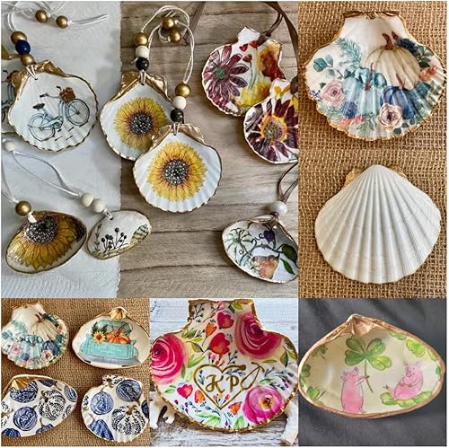 Miniatura 3 de 10 conchas de vieira grandes de 4 a 5 pulgadas, conchas de vieira blancas naturales de Sea Beach para decoración de manualidades