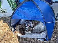 Review Image by Shantelle Shantelle