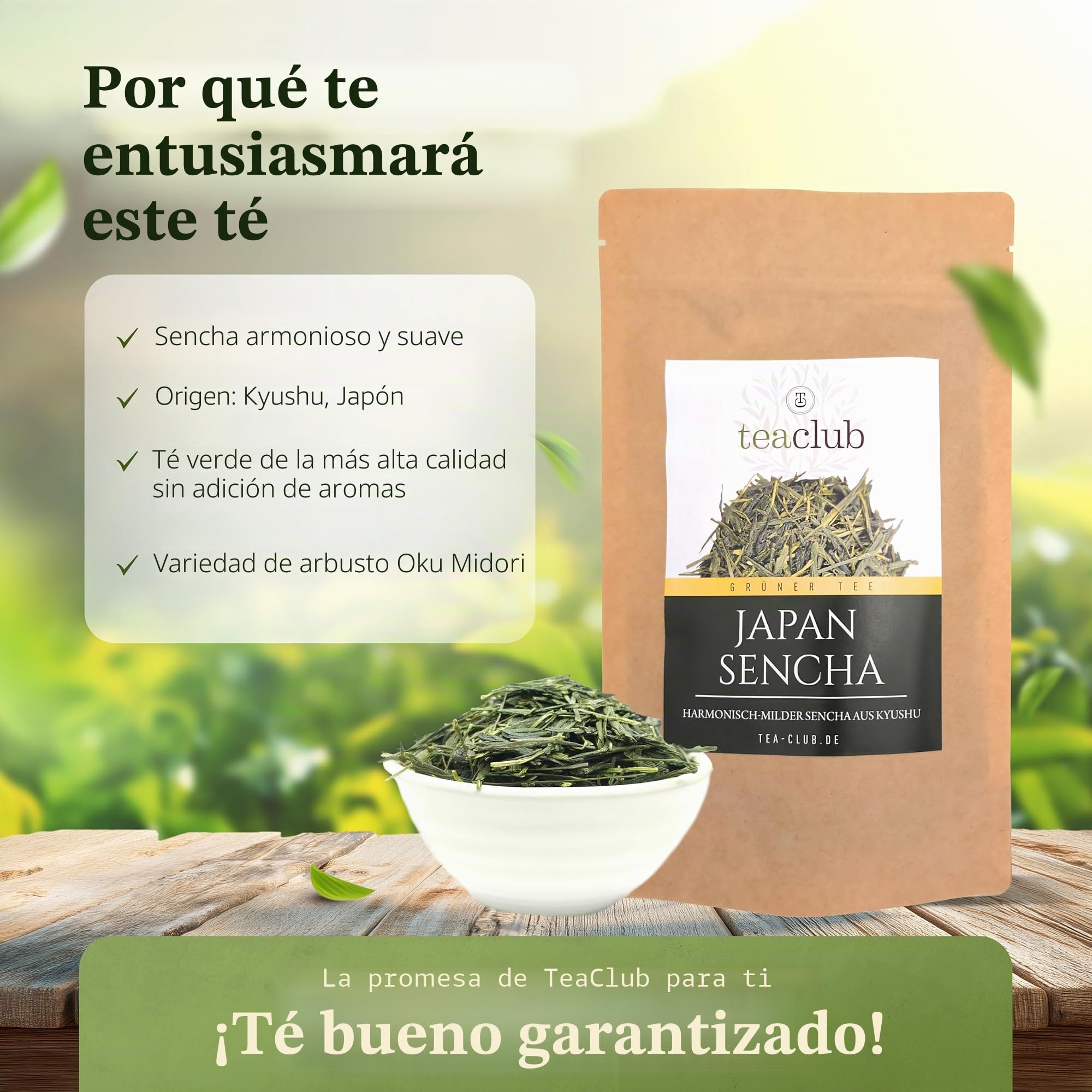 Té Verde Sencha de Japón a Granel 500g, Kyushu, Oku Midori, TeaClub