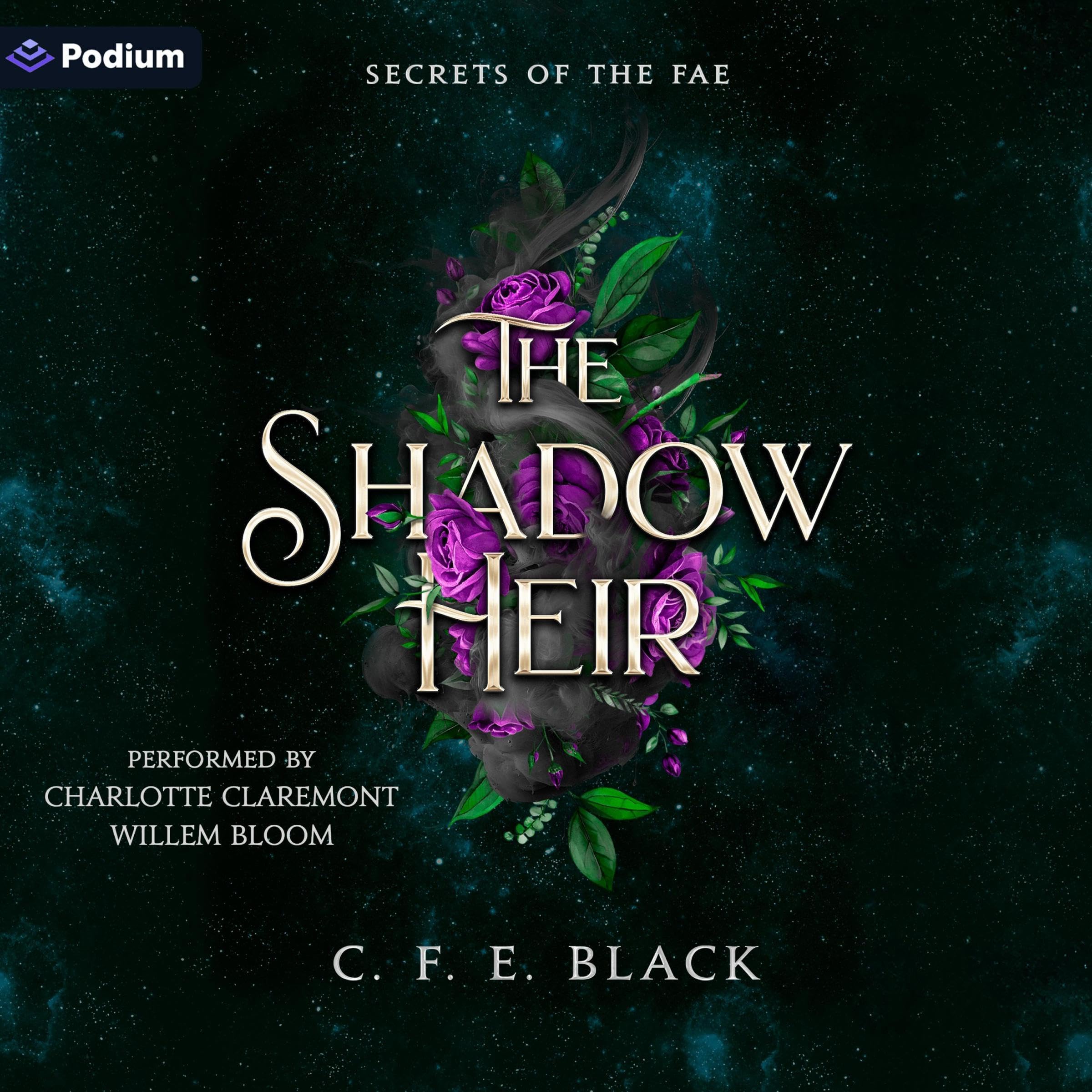 Cover art for The Shadow Heir