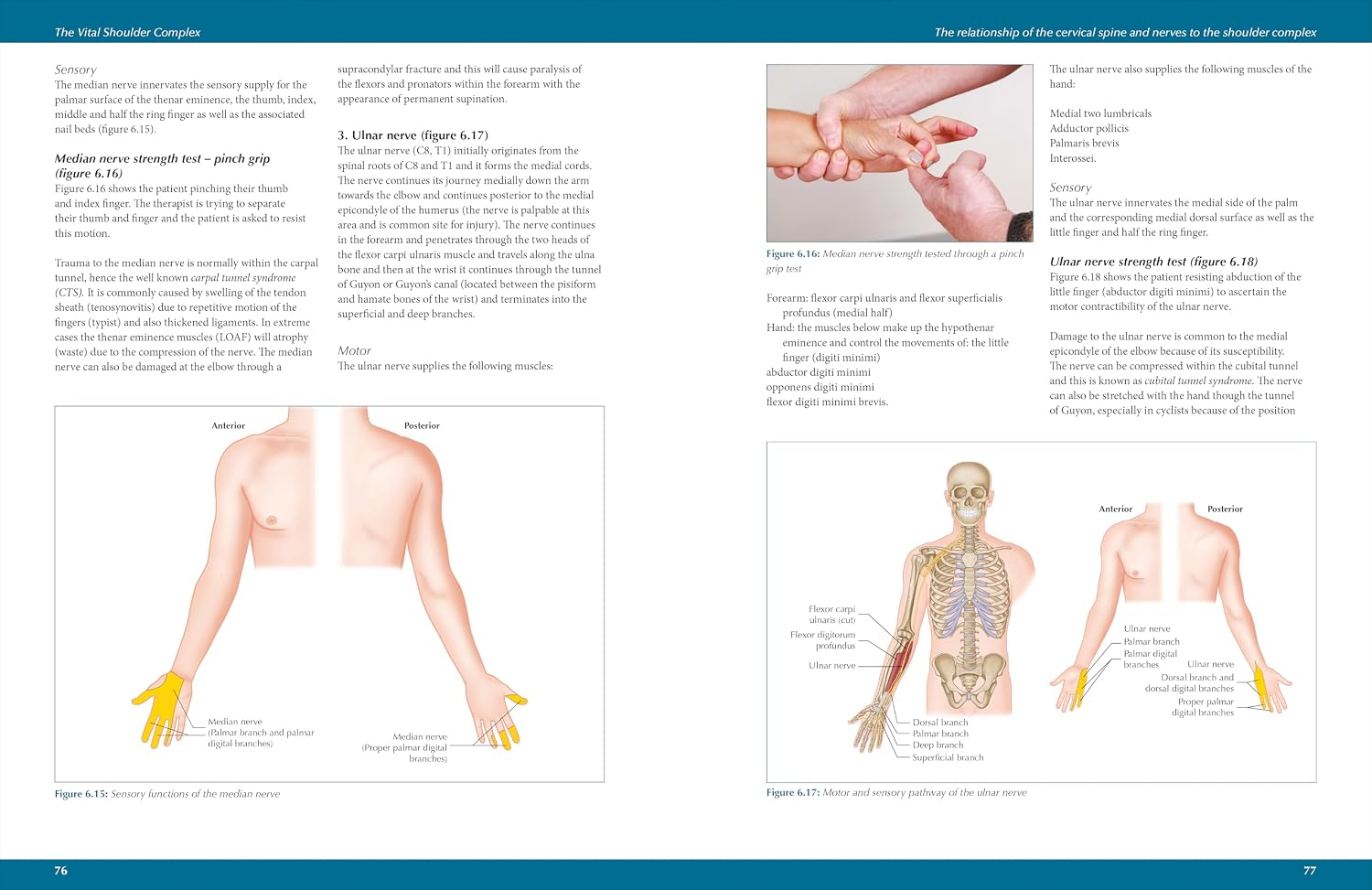 The Vital Shoulder Complex: An Illustrated Guide to Assessment, Treatment, and Rehabilitation