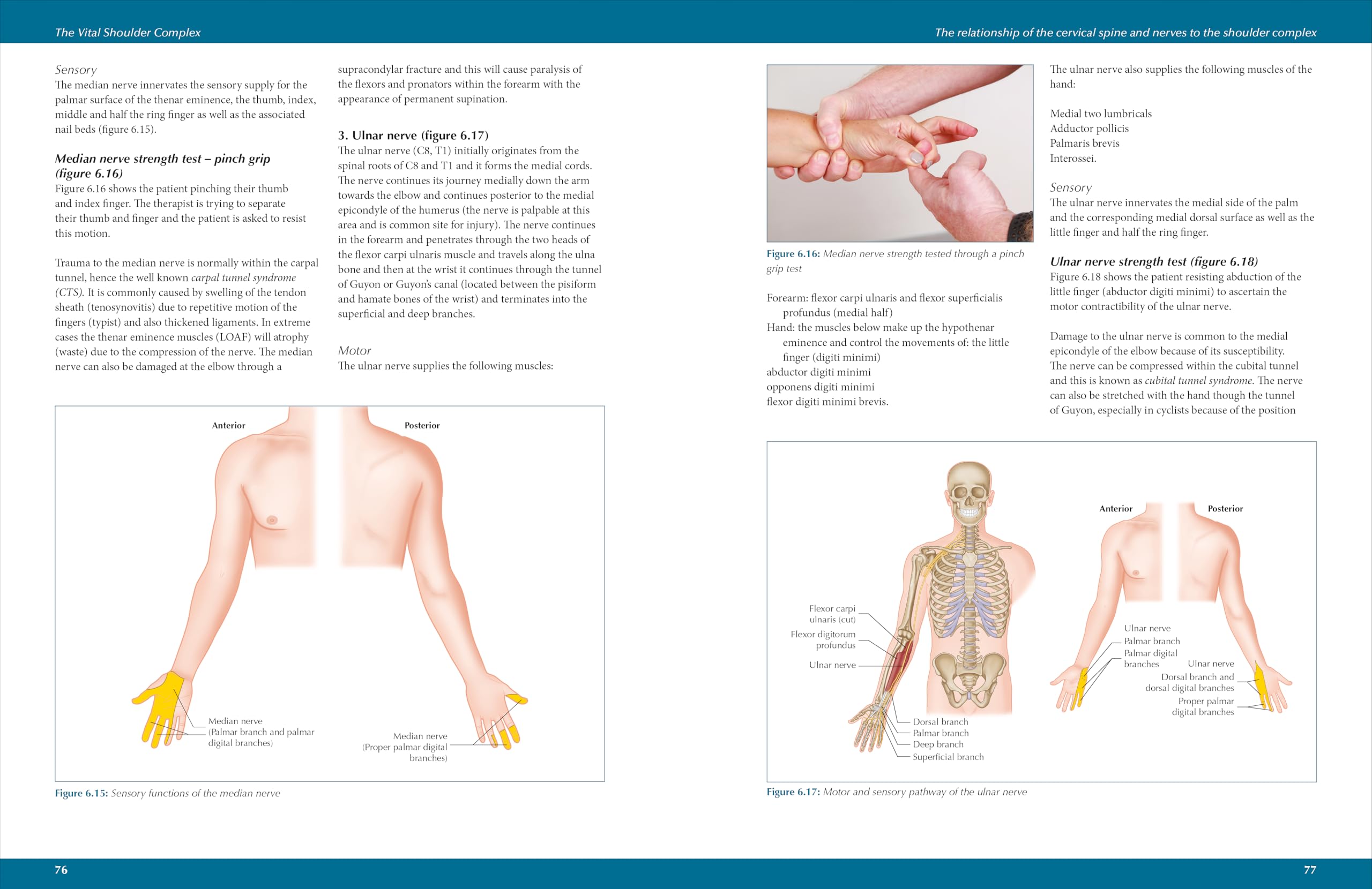 The Vital Shoulder Complex: An Illustrated Guide to Assessment, Treatment, and Rehabilitation