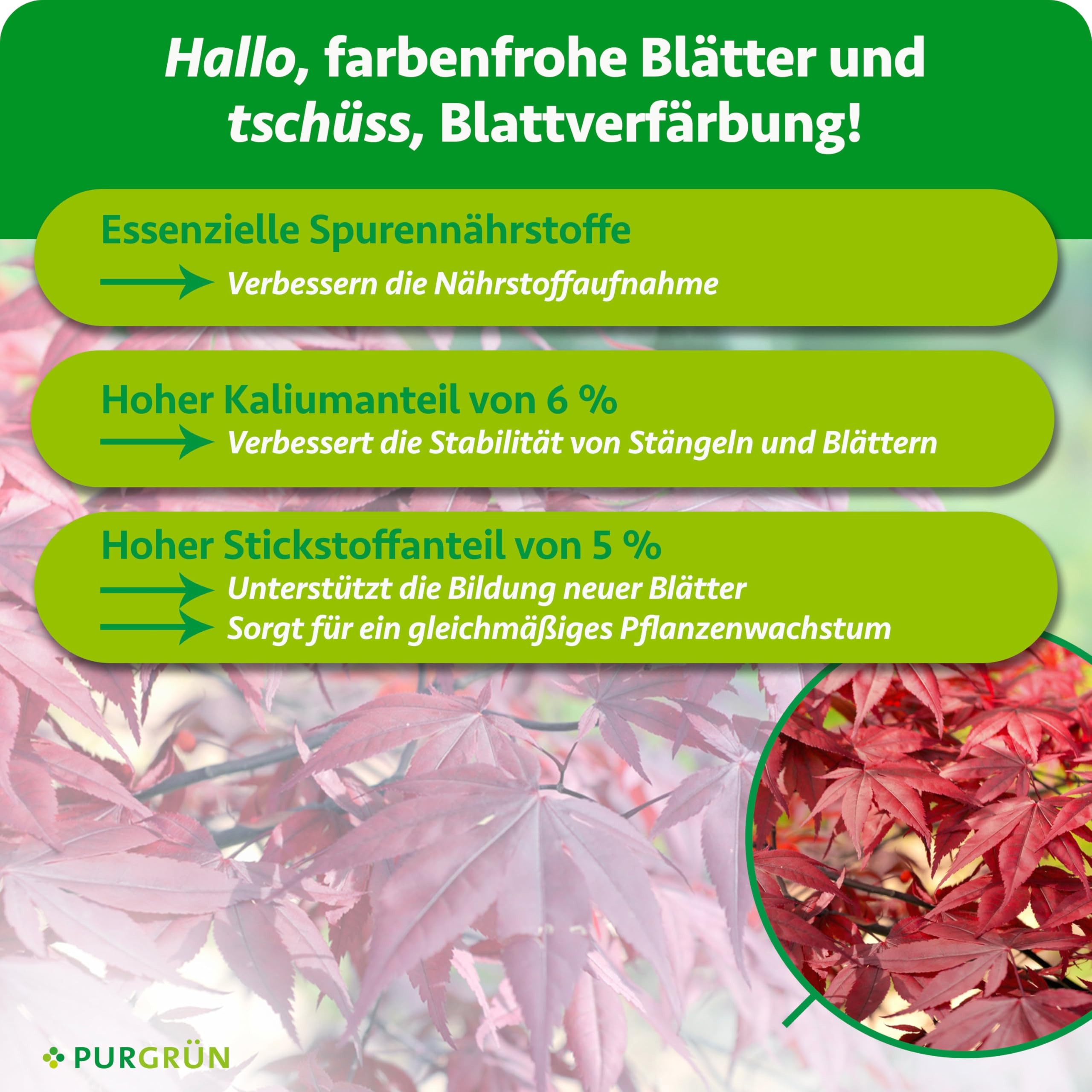 Japanischer-Ahorn-Dünger 1 kg – Organisch-mineralische Rezeptur – Feinkörniges Krümelgranulat – NPK 5+4+6 – Extra Magnesium für eine intensive Blattfärbung – Verbessert die Bodenqualität