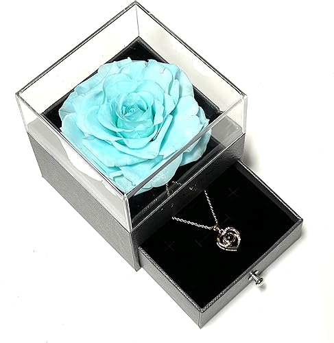 vero amore Caja de regalo de rosas auténticas preservadas con collar, regalo romántico perfecto para el día de San Valentín, aniversario, cumpleaños
