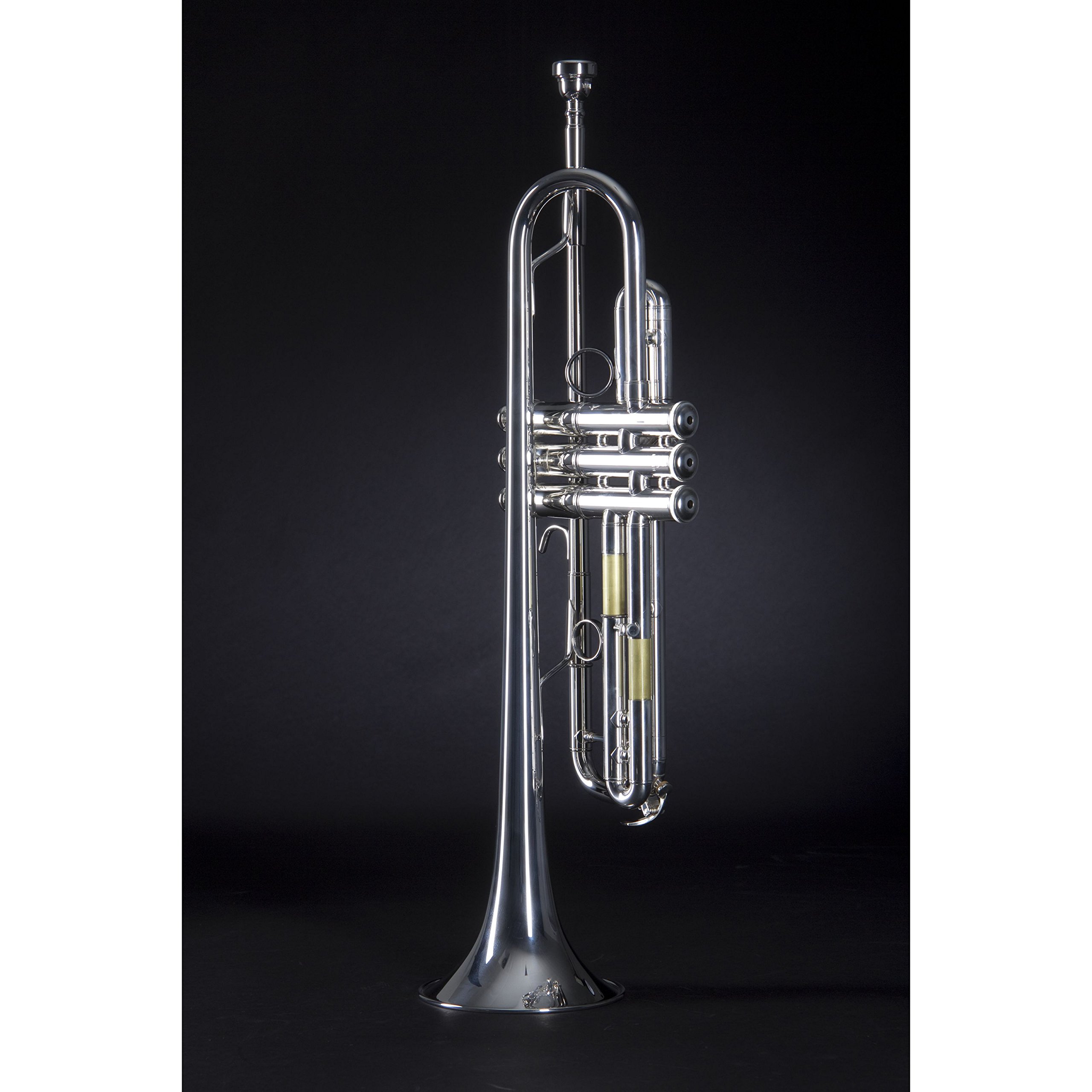 Amazon.com: Yamaha YTR-8335IIRS Xeno Professional Bb Trumpet