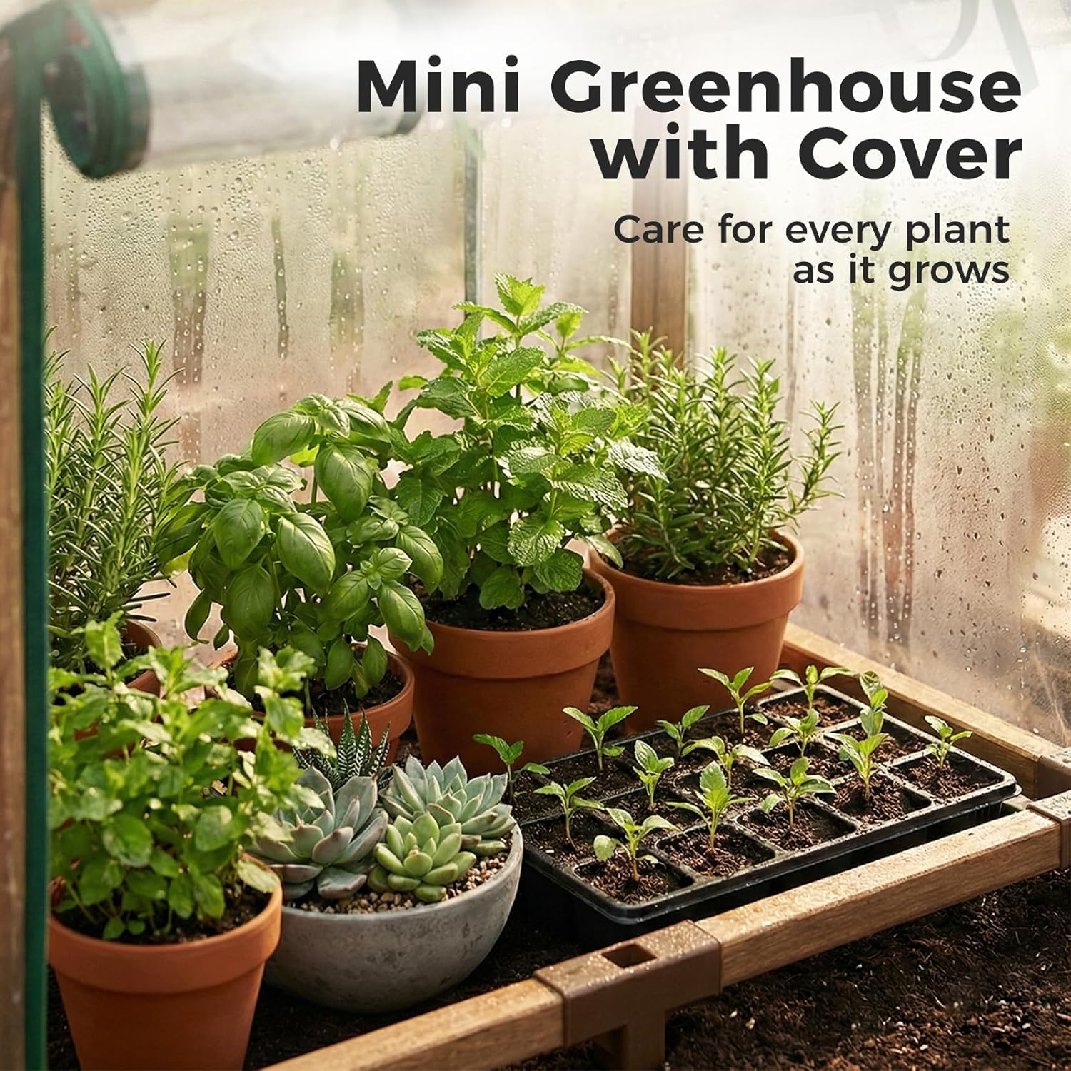 Leaf&Lull Mini Greenhouse Indoor Desktop with Zippered Doors & Roll-up Windows Elevated Bottom Portable Plant Hot House with Durable PE Cover Ventilation Window for Seed Starting&Plant Growth