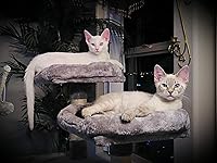 Review Image by margaret moore margaret moore