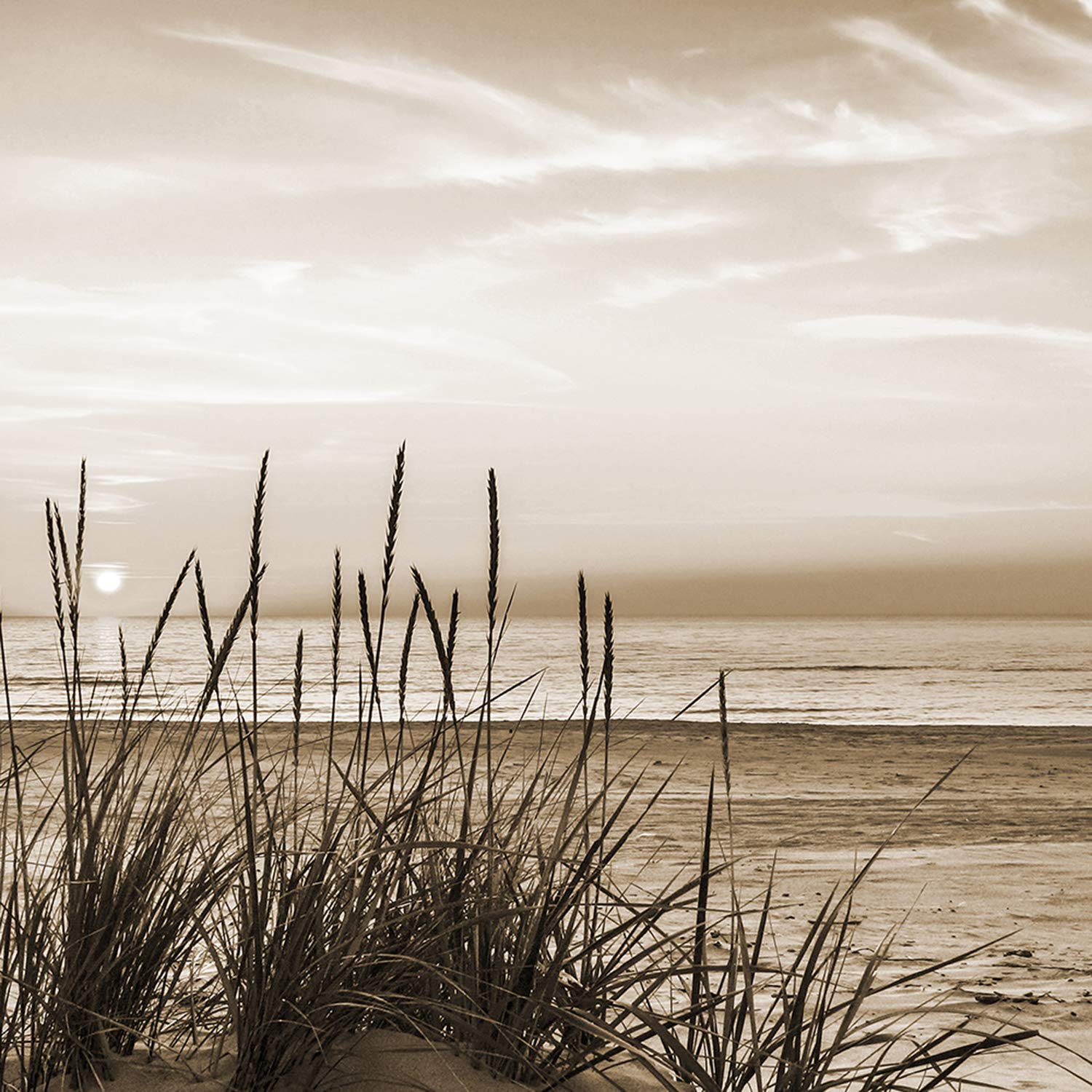 Feeby Bilder Strand Meer Sonnenuntergang XXL 100x70 cm 1 Teilig Modern Wohnzimmer Schlafzimmer Wandbilder Leinwandbilder Bild auf Leinwand Kunstdruck Wanddeko Design Natur Landschaft Grass Braun