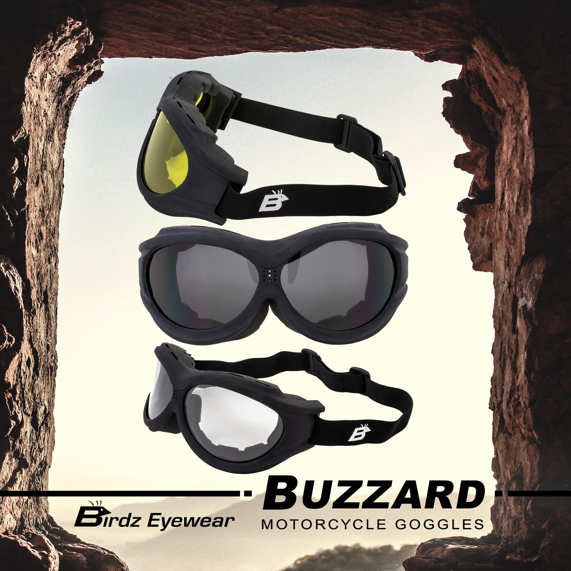 Birdz Eyewear Buzzard Motorcycle Goggles 2 Pairs Black Frames with Clear & Smoke Lenses