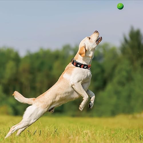 Miniatura 9 de Kruz PET KZV006-03M Collar de perro reflectante para perros pequeños, medianos y grandes