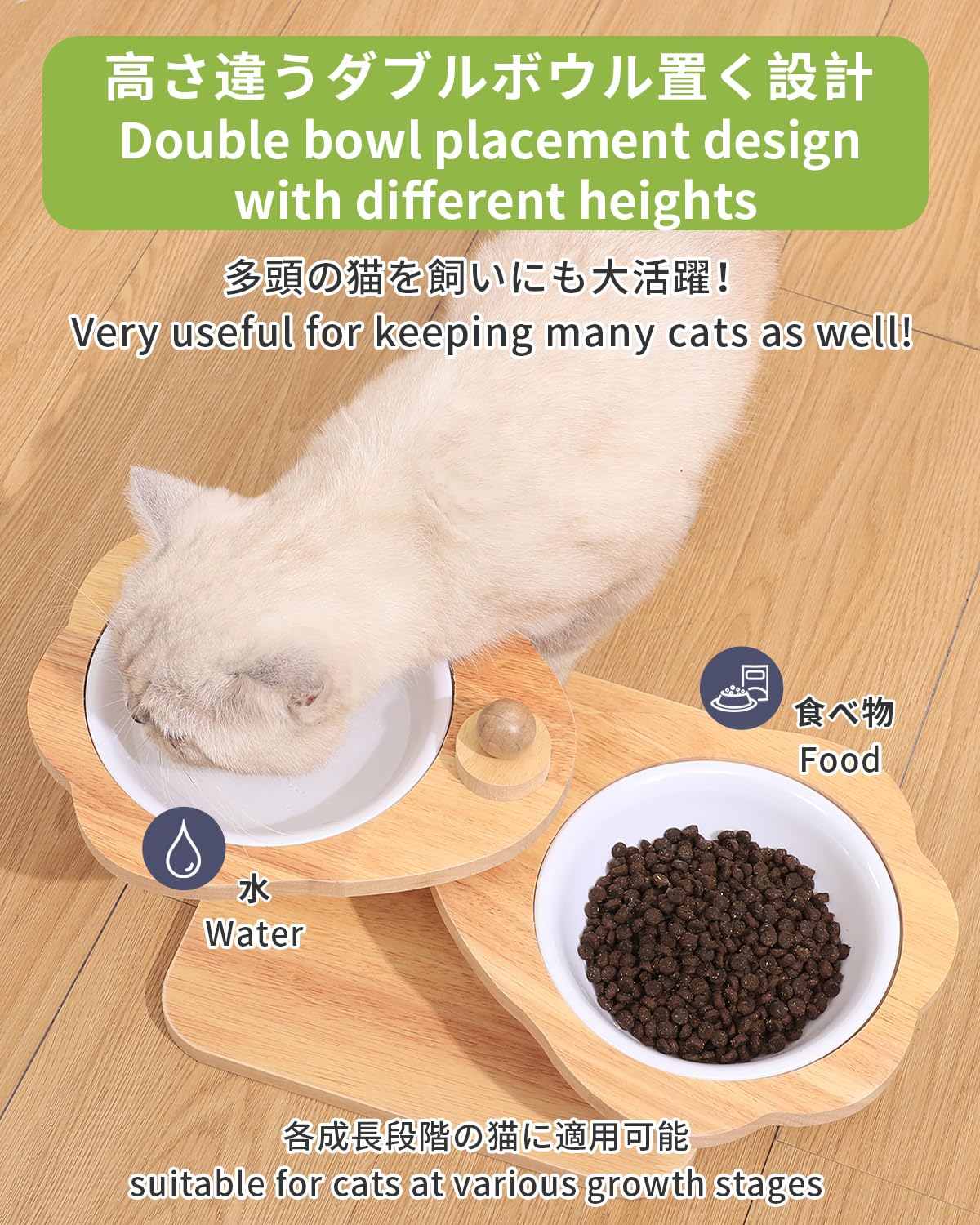 Ciotole Rialzate per Gatti, Supporto Rialzato per Cani e 2 Ciotole Dense di Amine, Mangiatoia per Animali Domestici con Cibo in Legno e Acqua per Gatti e Cuccioli (2 ciotole)