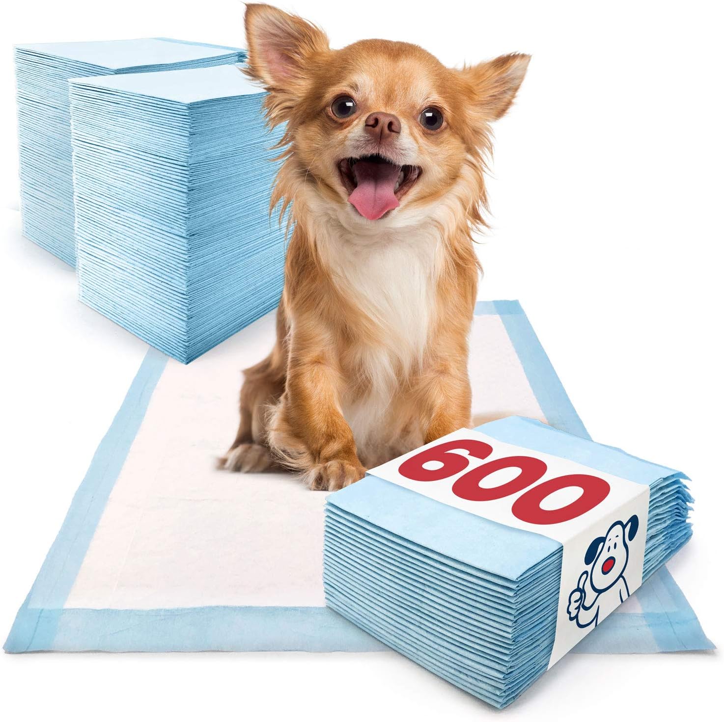 ValuePad Puppy Pads, Small 17x24 Inch, 600 Count Bulk Pack - Economy Training Pads for Dogs, Leak Proof 5-Layer Design