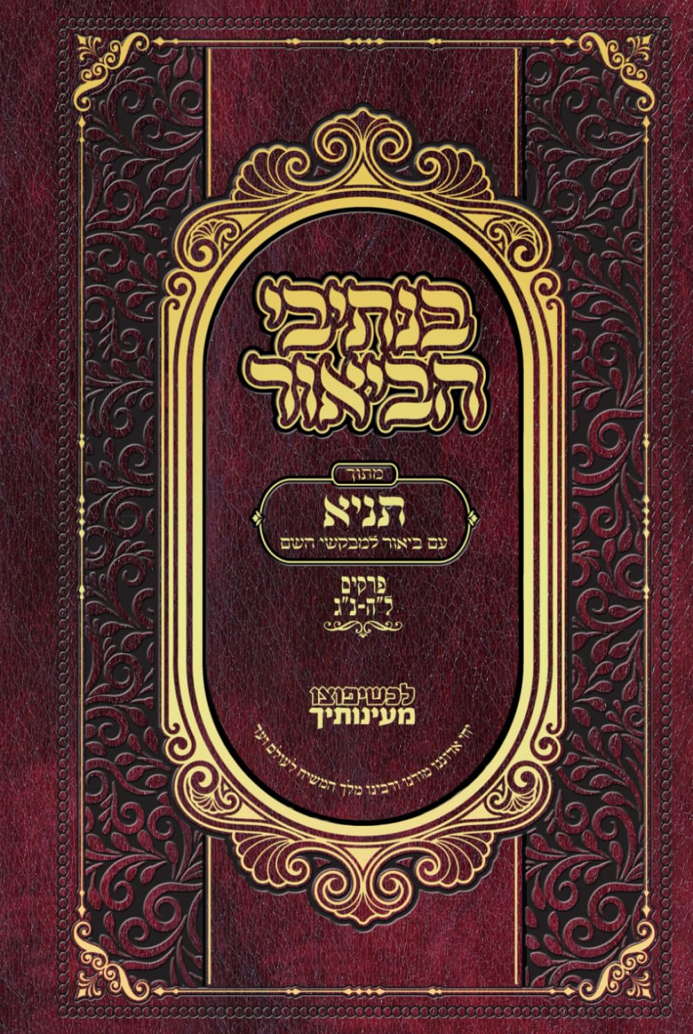 בנתיבי הביאור על תניא: Volume Two (bNsivei HaBiur - Tanya) (Hebrew Edition)