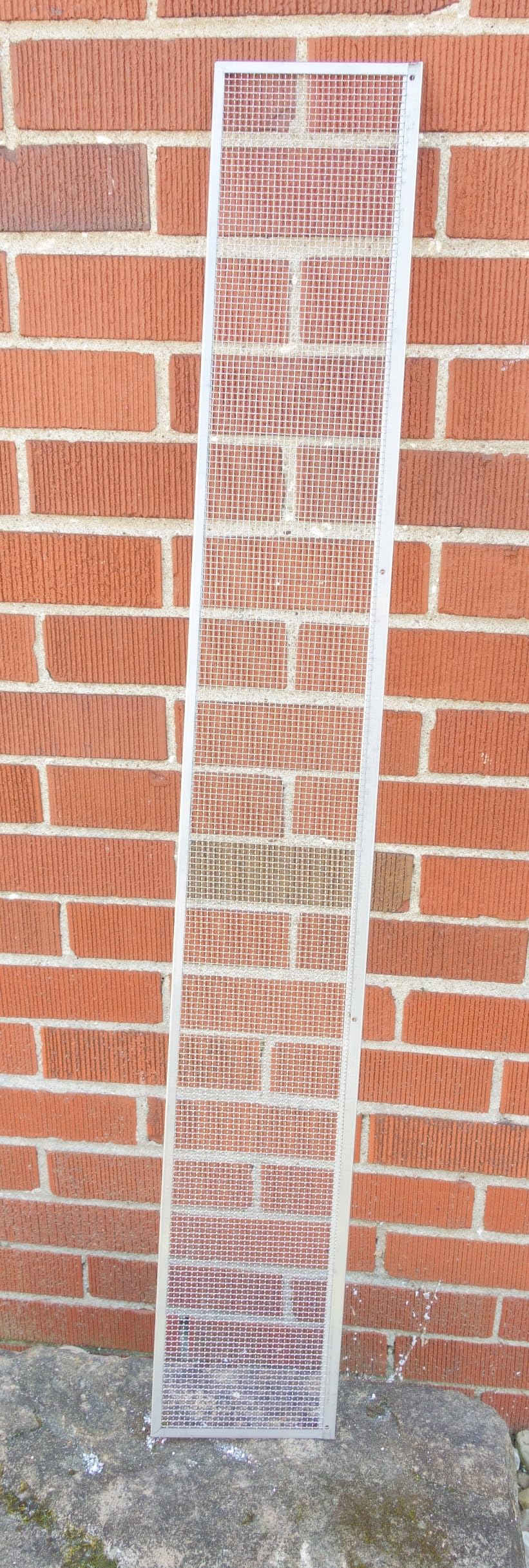 Hoopmon mesh