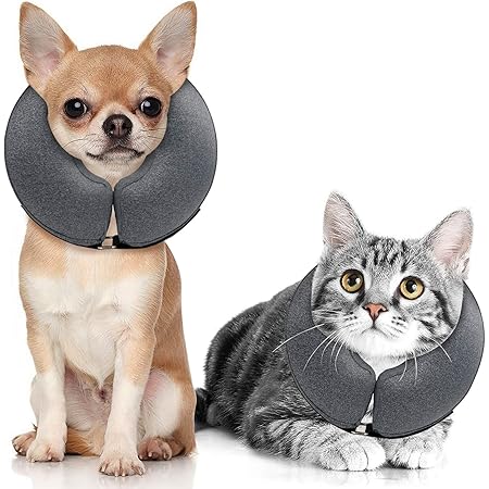 inflatable collar