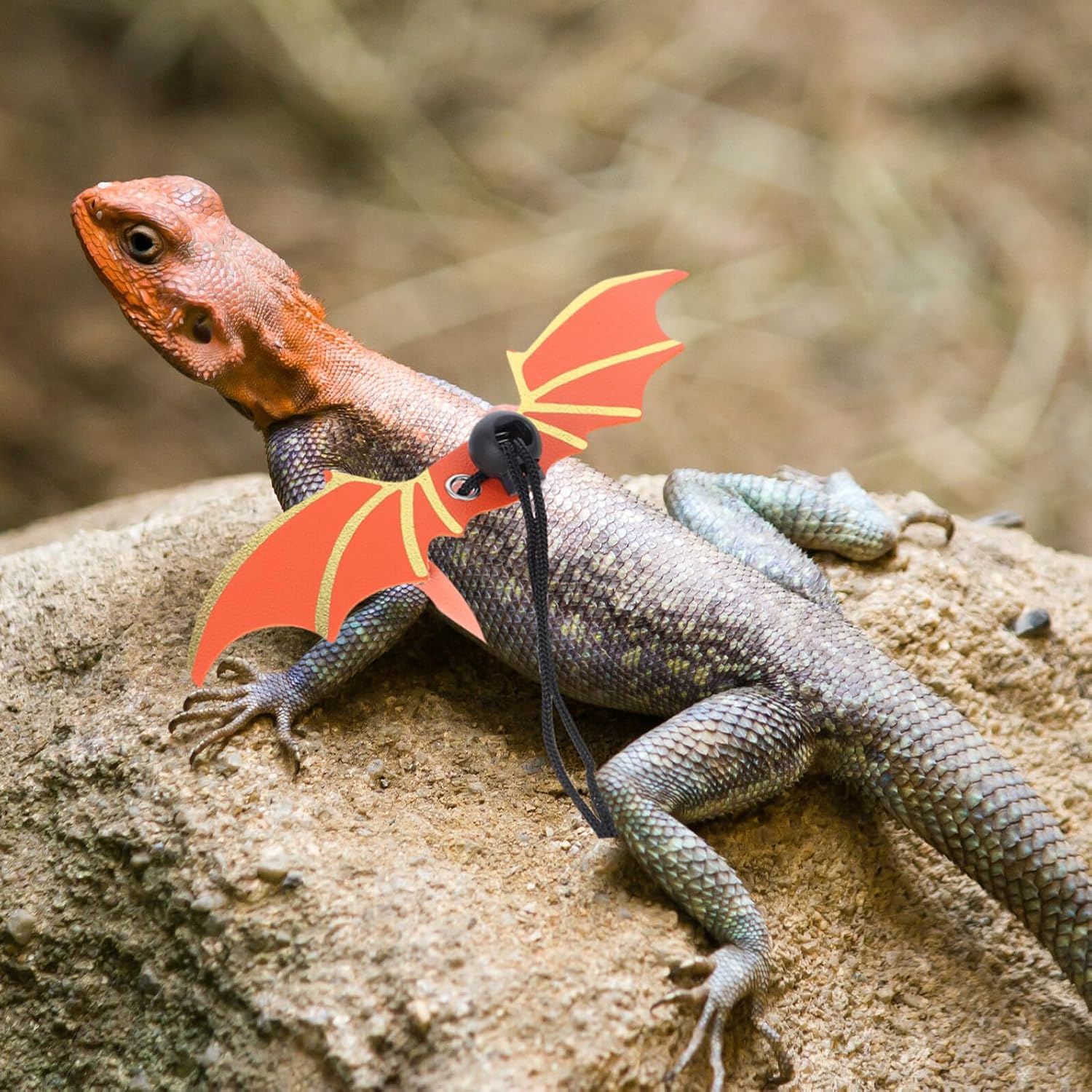 Adjustable Orange Reptile Lizard Harness Leash Set with Wing Design, Pu Material, Small Size for Outdoor Walking and Safety Control of Bearded Dragons and Small Pets