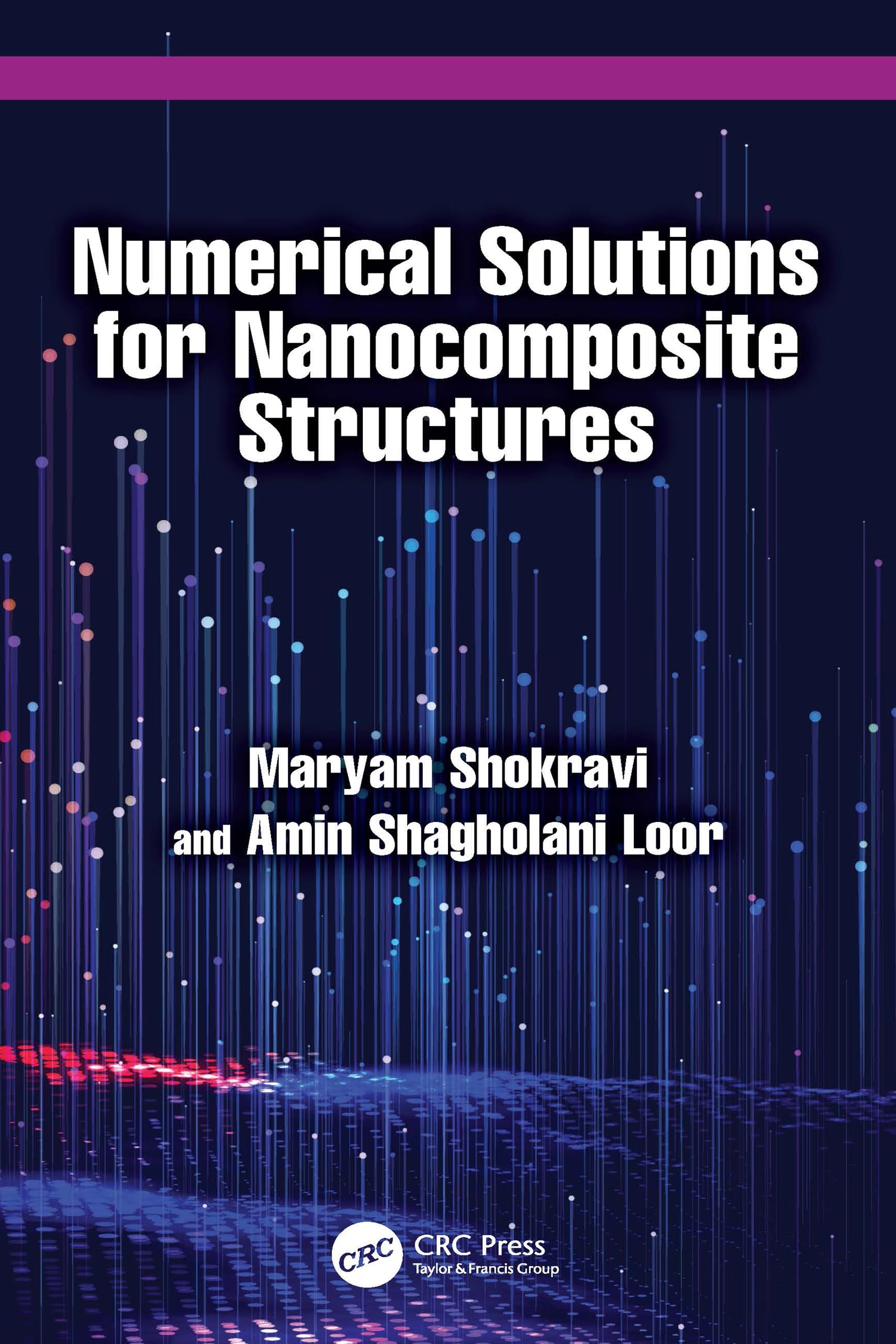 Numerical Solutions for Nanocomposite Structures livre anglais modélisation mathématique