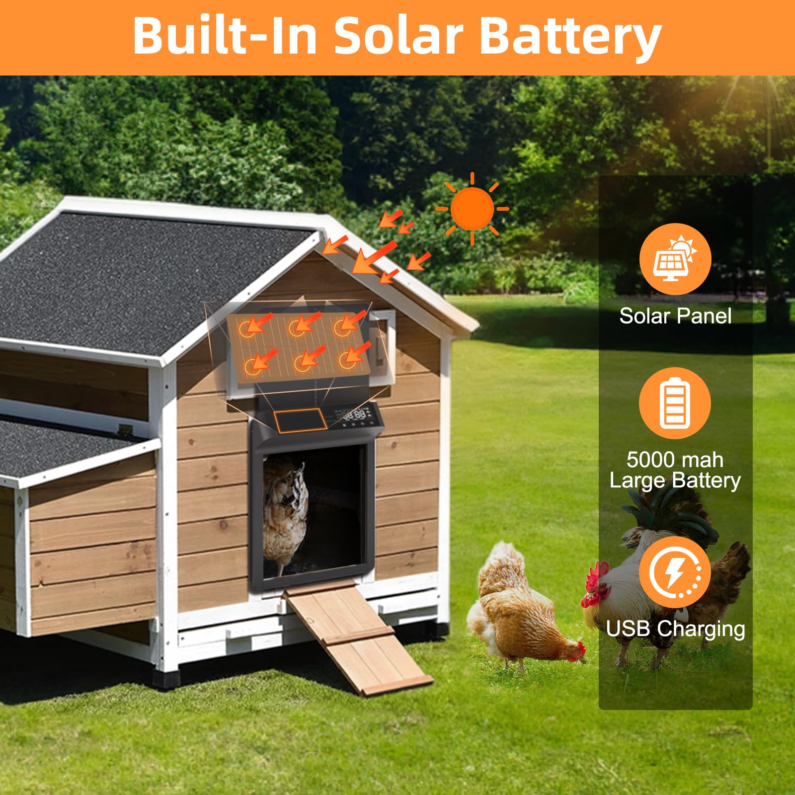 Porta automatica per pollaio, apriporta elettrico ad energia solare con modalità timer/sensore di luce e telecomando, porta automatica per pollaio con batteria da 5000 mAh, schermo LED, anti-pizzica