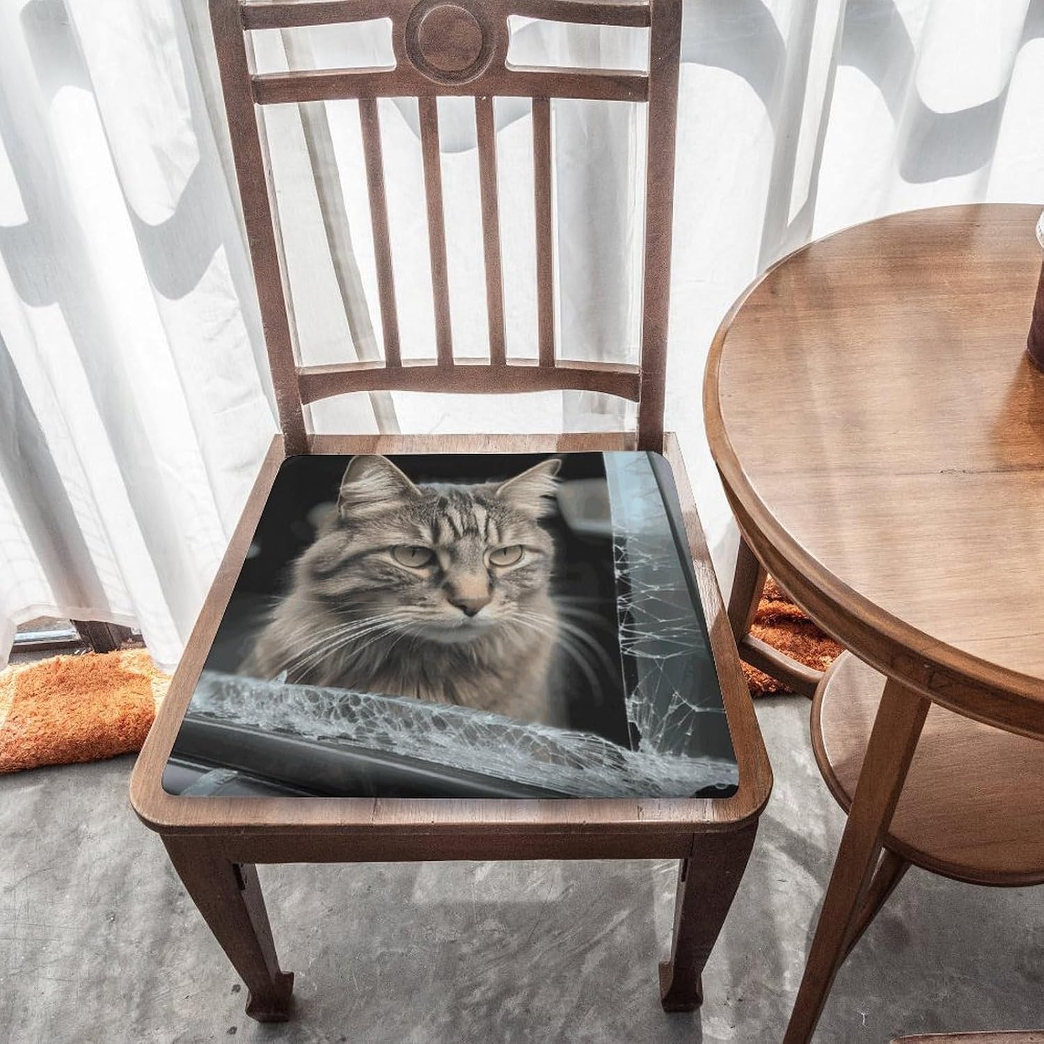 Cat Smashes Glass in Car Chair Cushion Floor Pillow Stool Cushion | Cushions with Removable Cover with Square Memory for for Chair Living Room Balcony Office Sofa,13.8*15*1.2 Inch