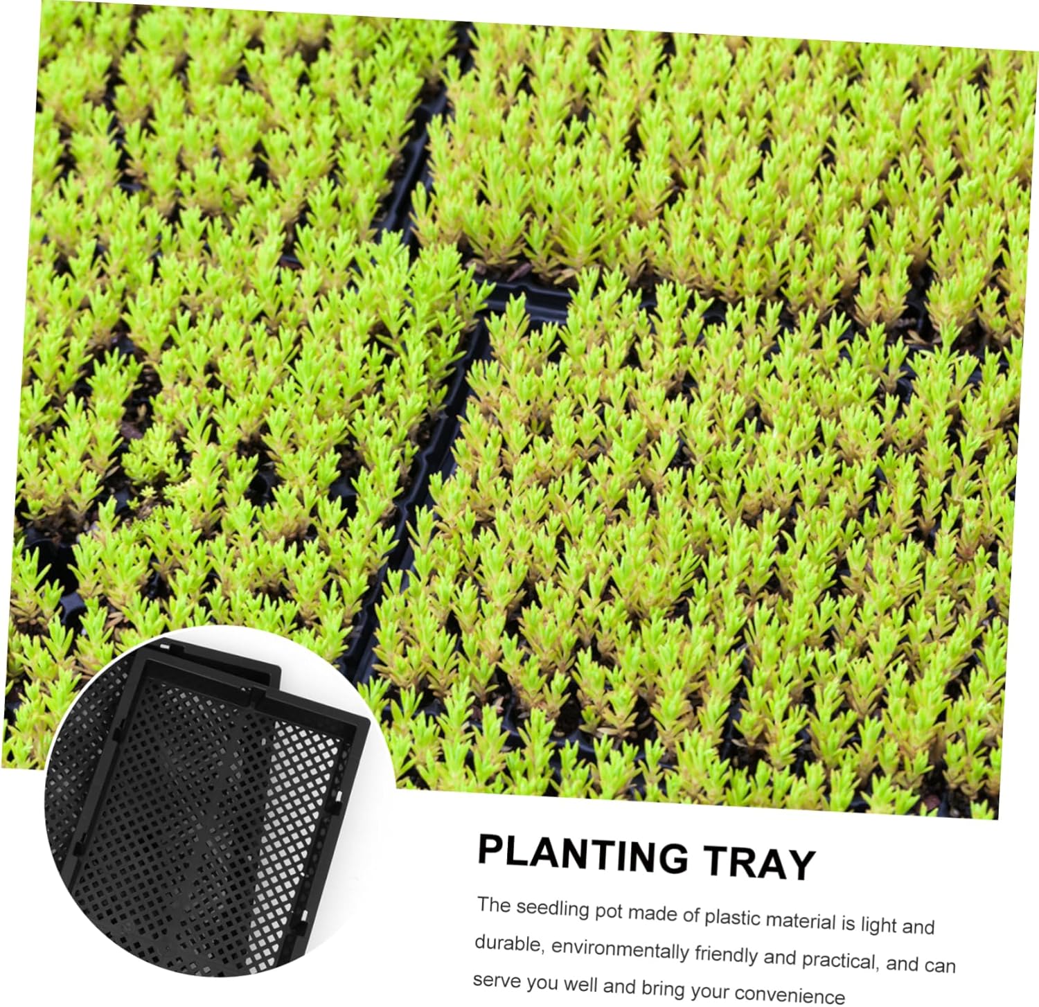 5pcs Plant Watering Tray Nursery Trays for Germination Starter Pots Heat Insulation