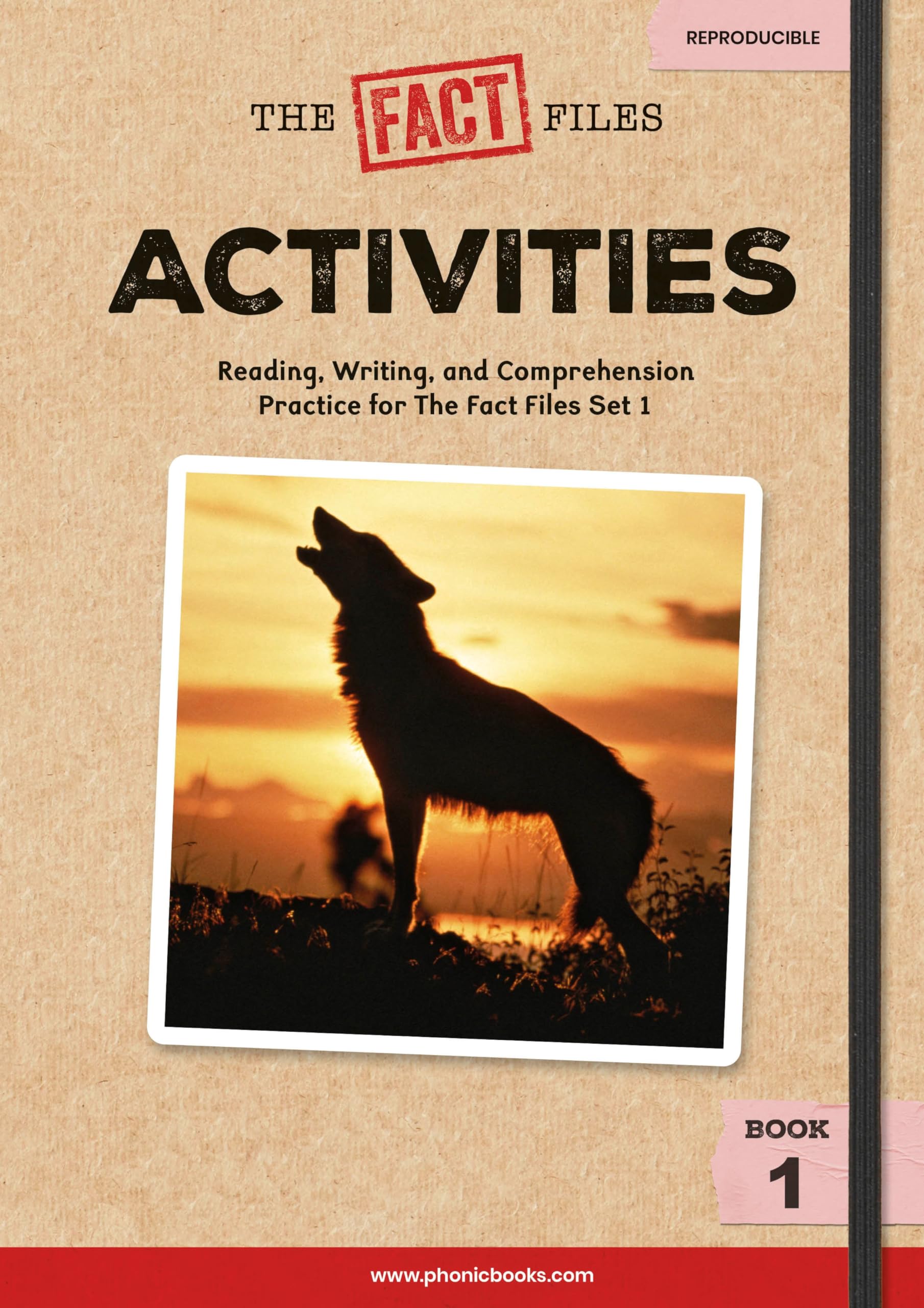 Phonic Books the Fact Files 4 Activities: Alternative Spellings, and Latin Suffixes (Phonic Books Catch-Up Decodable Readers)