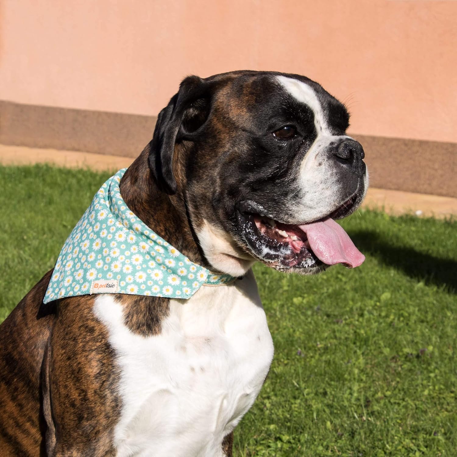 Pettsie Dog Bandana Collar with Matching Friendship Bracelet – Stylish & Adjustable Pet Bandana for Dogs, Durable Hemp, Soft & Comfortable, Secure D-Ring, Designed for Dog Owners, Small, Green