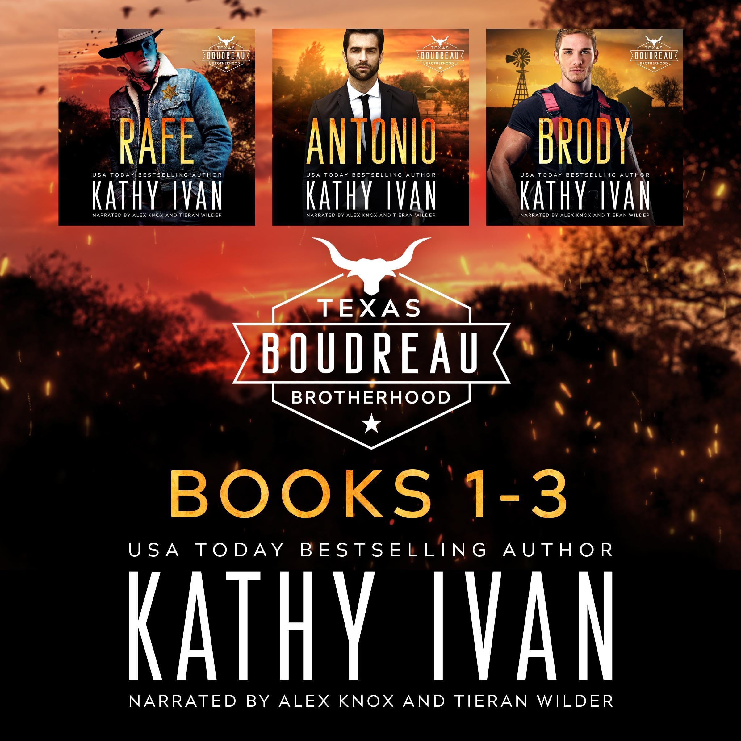 Texas Boudreau Brotherhood, Books 1-3