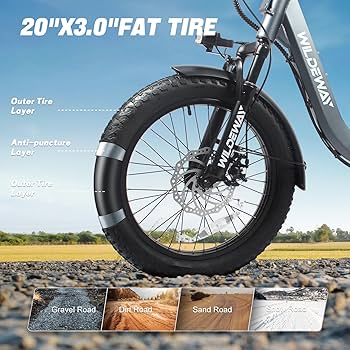 E︎❤︎︎ Wildeway Electric Bike for Adults 48V 720Wh Peak 800W Long