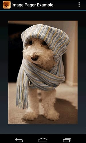 Doggy – vue 4