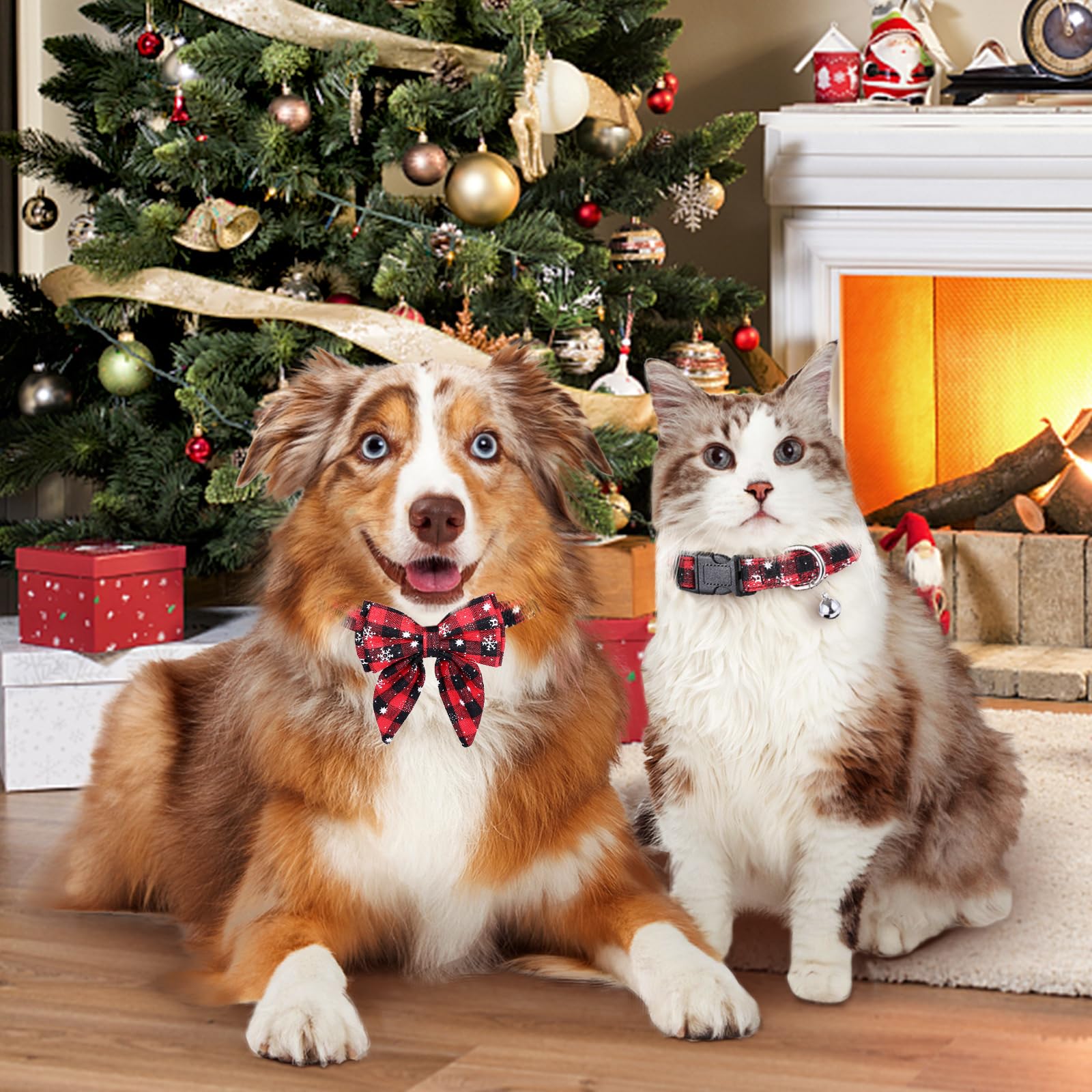 hundemantel wasserdicht Rukka Stormy Coat Hundemantel  wasserdicht & warm gefttert  ecopetique