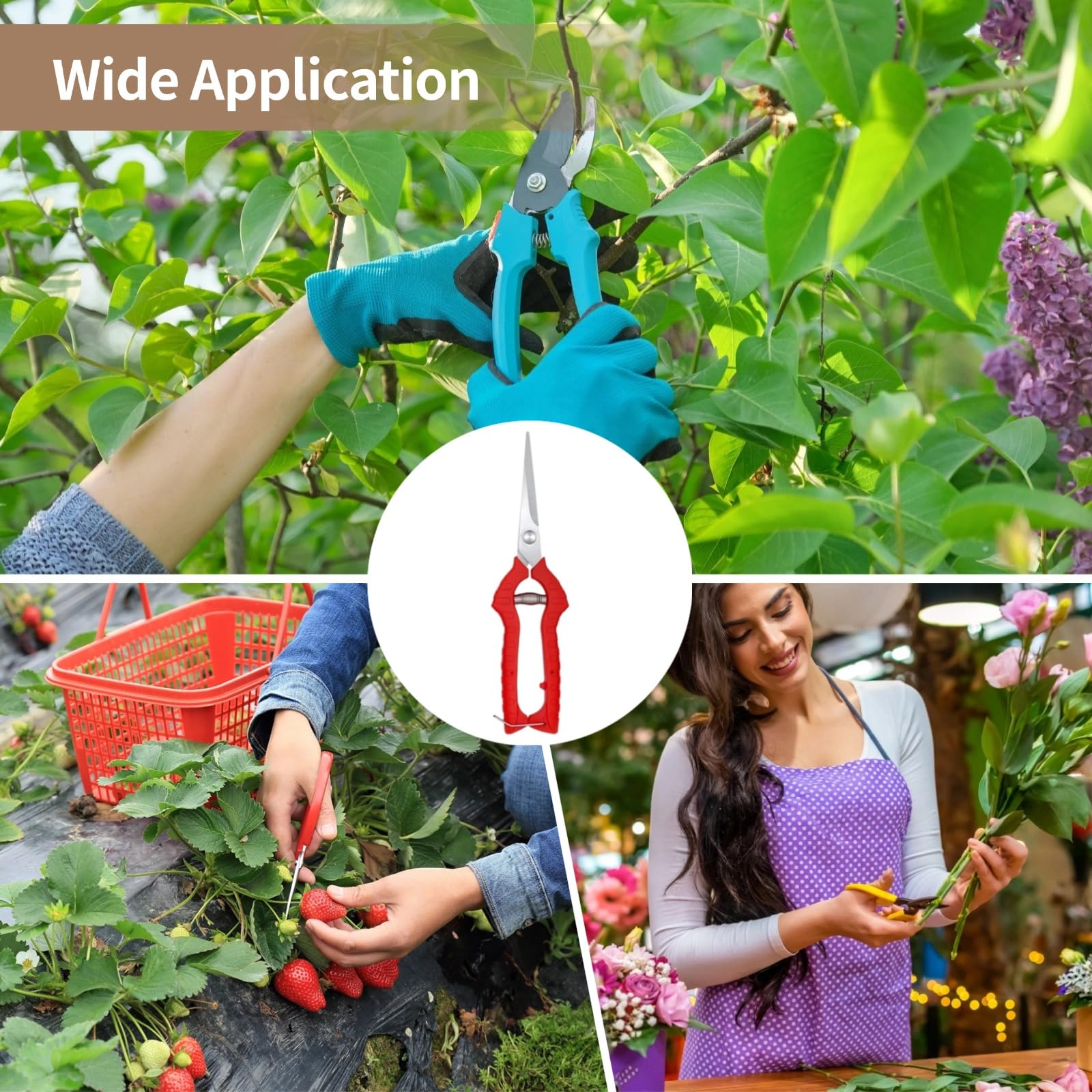 12 Stk. Gartenscheren-Set aus Edelstahl, 7,87 Zoll Bulk-Baumscheren, rote Spitzschere für Rosenschnitt, Blumen, Pflanzen und Baumschnitt, für präzise Schnitte im Garten