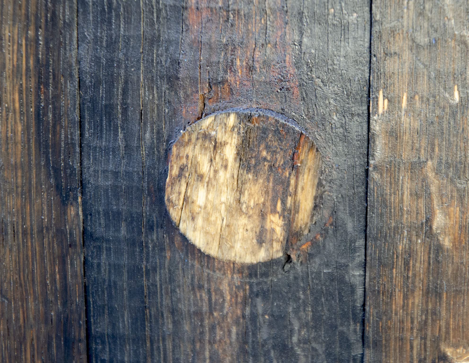 Temesso Barril de Madera Usado, auténtico Barril de Whisky escocés para decoración - con Tratamiento de Aceite