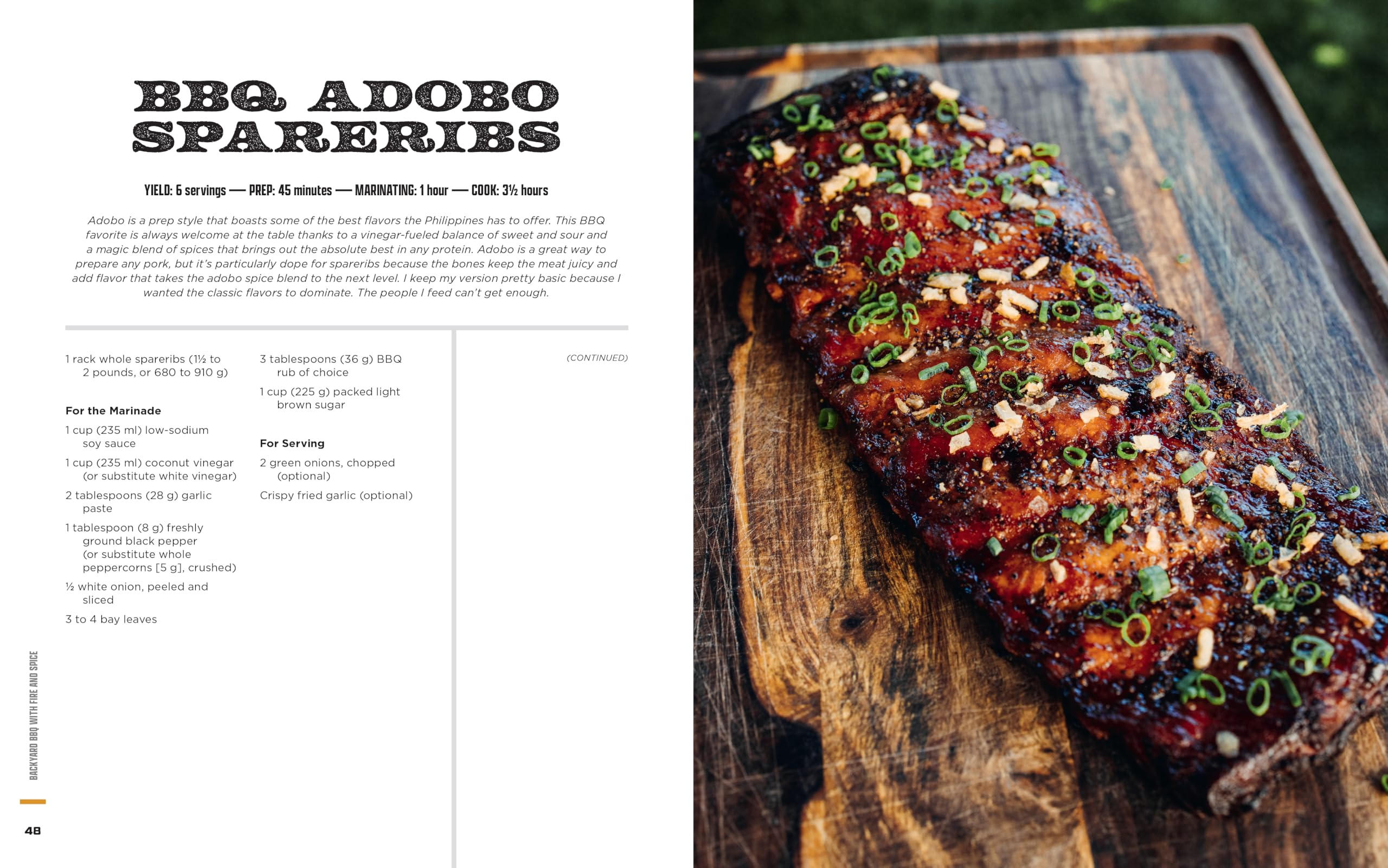 Backyard BBQ with Fire and Spice: Filipino- and Cajun-Inspired Recipes for the Smoker and Grill