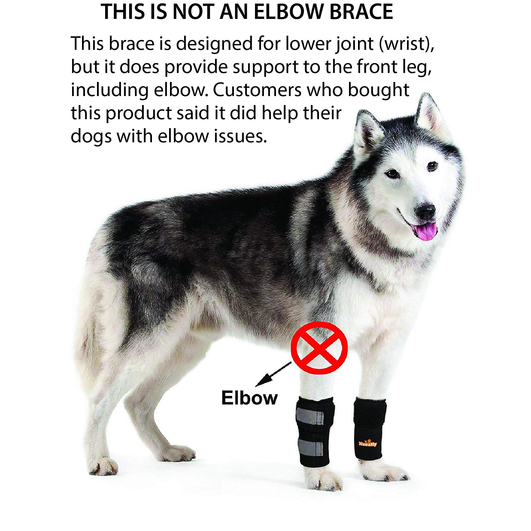 Buy Pair of NeoAlly Dog Front Leg Braces Canine Carpal Support with
