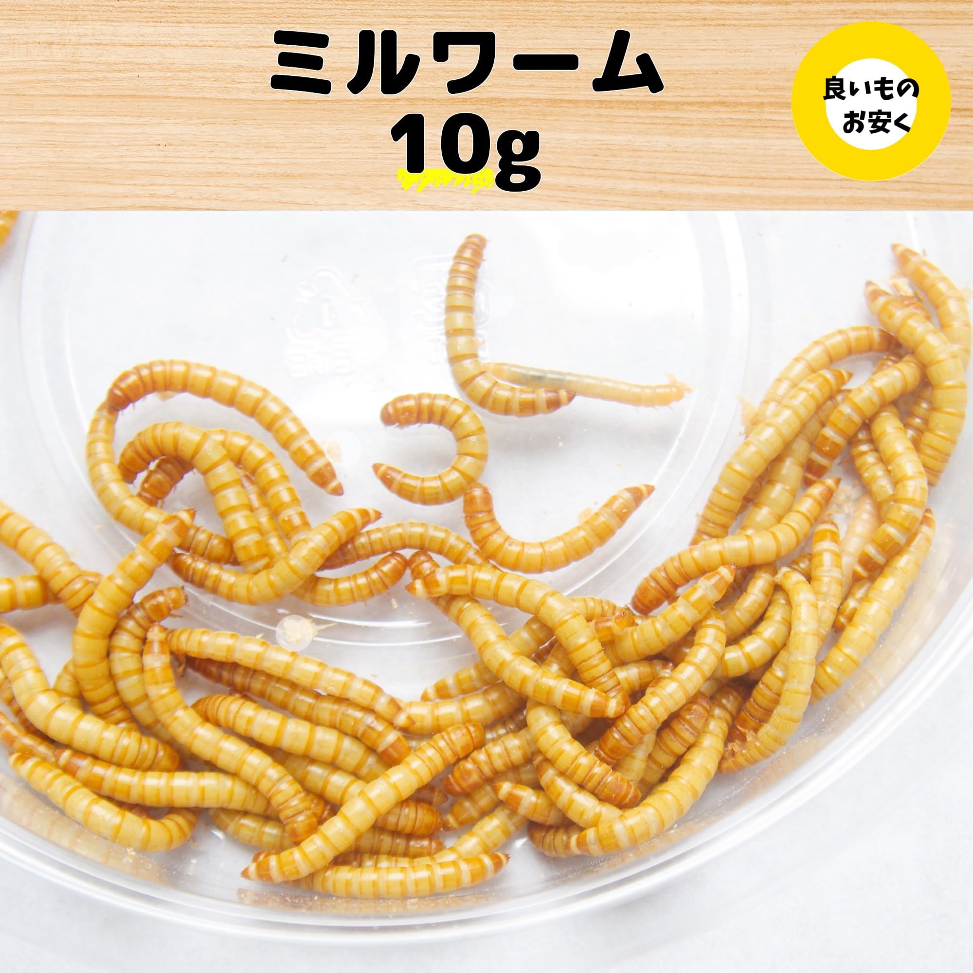 Amazon | ミルワーム 10g プラカップ入り ミルワームの餌（ふすま