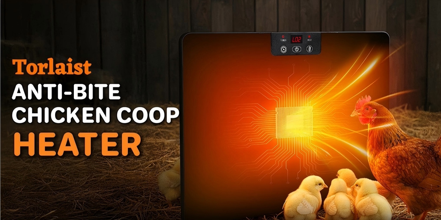 Amazon.com: Torlaist 2026 Upgraded Chicken Coop Heater, 200W Chick
