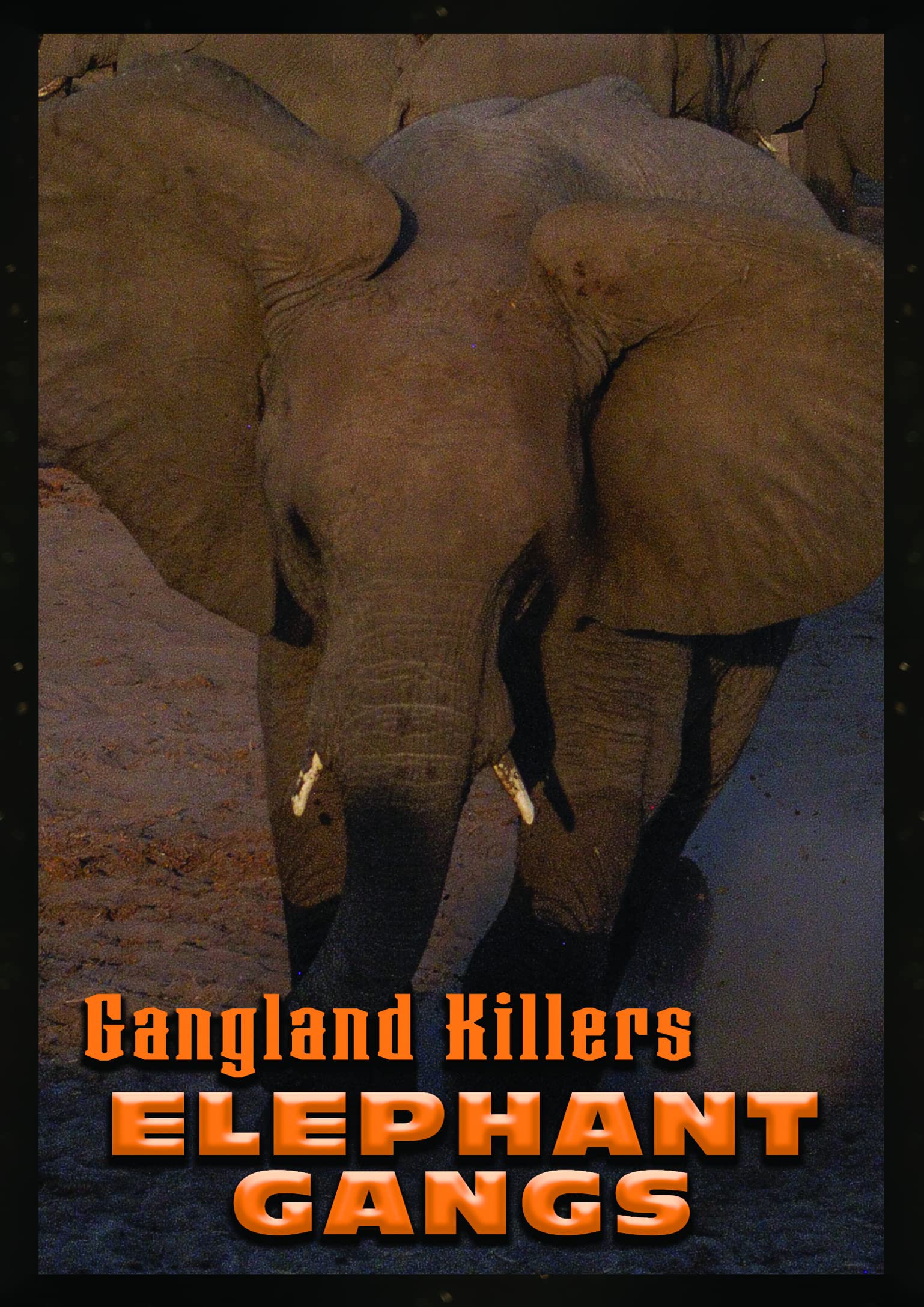 Gangland Killers: Elephant Gangs, la impactante migración animal en formato DVD