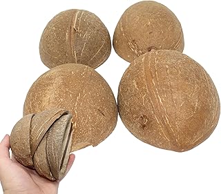 28 Handmade Coconut Shell Decor Ideas You Can DIY 59 Bonka Bird Toys 1031 Pk4 Half Shell Coconuts Natural Forage Chewing Part...