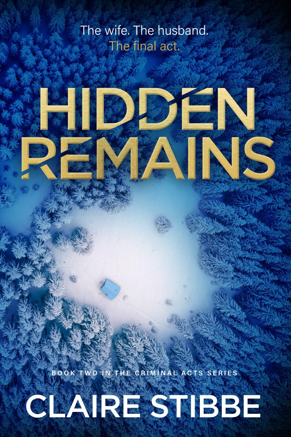 Hidden Remains: A Psychological Thriller Series (Book Two)