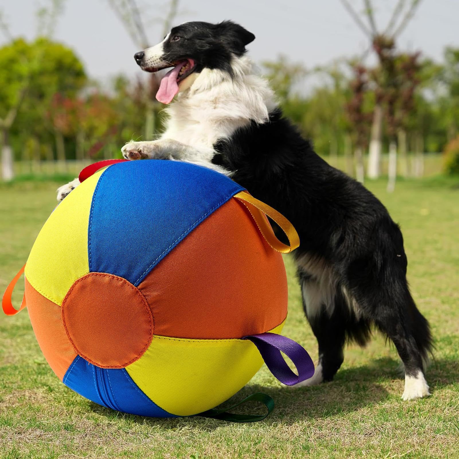Herding Ball Hund, Treibball Für Hunde Bissfest, Reißfester Treibball Für Hunde, Riesiger Aufblasbarer Tennisball Interaktives Hundespielzeug Zum Spielen Und Trainieren, Für Mittelgroße Große