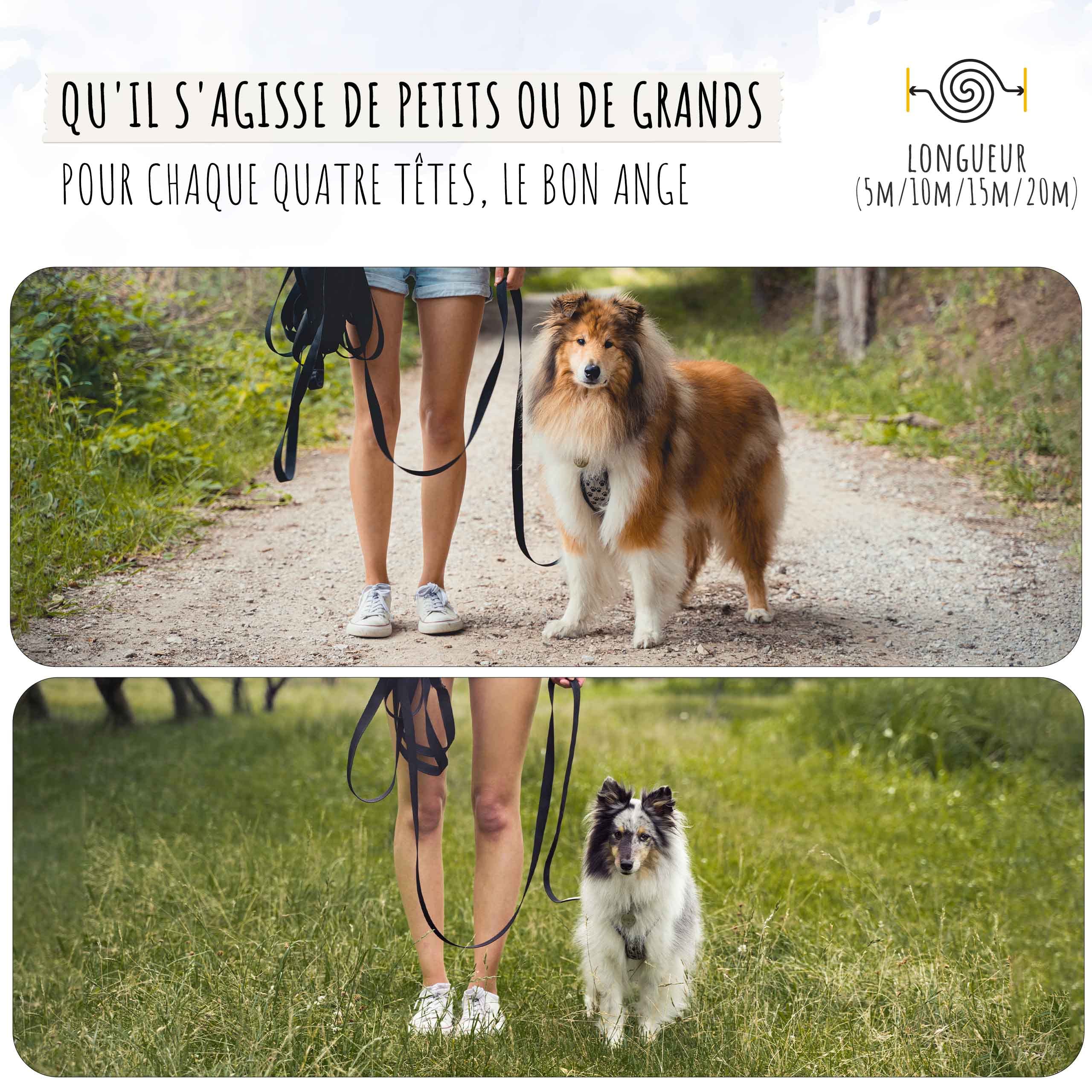 Rudelkönig Longe pour Chien 20m - Robuste et résistante aux intempéries - Longe avec poignée rembourrée - Laisse de Dressage pour Chien Pratique et Confortable